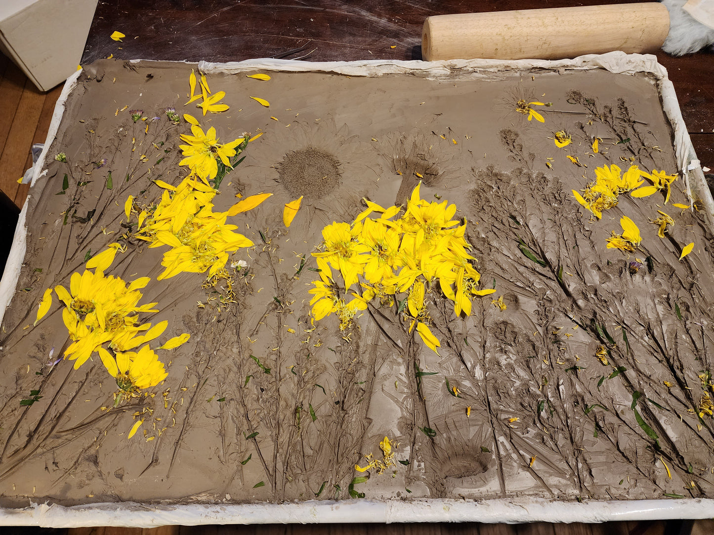 Plaster Botanical Bas Relief Artwork