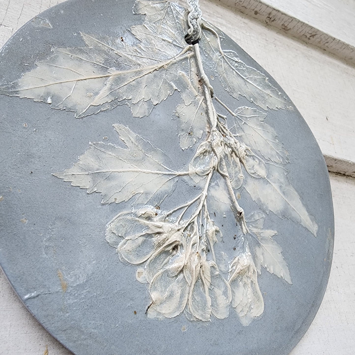 Bas-relief botanique en plâtre