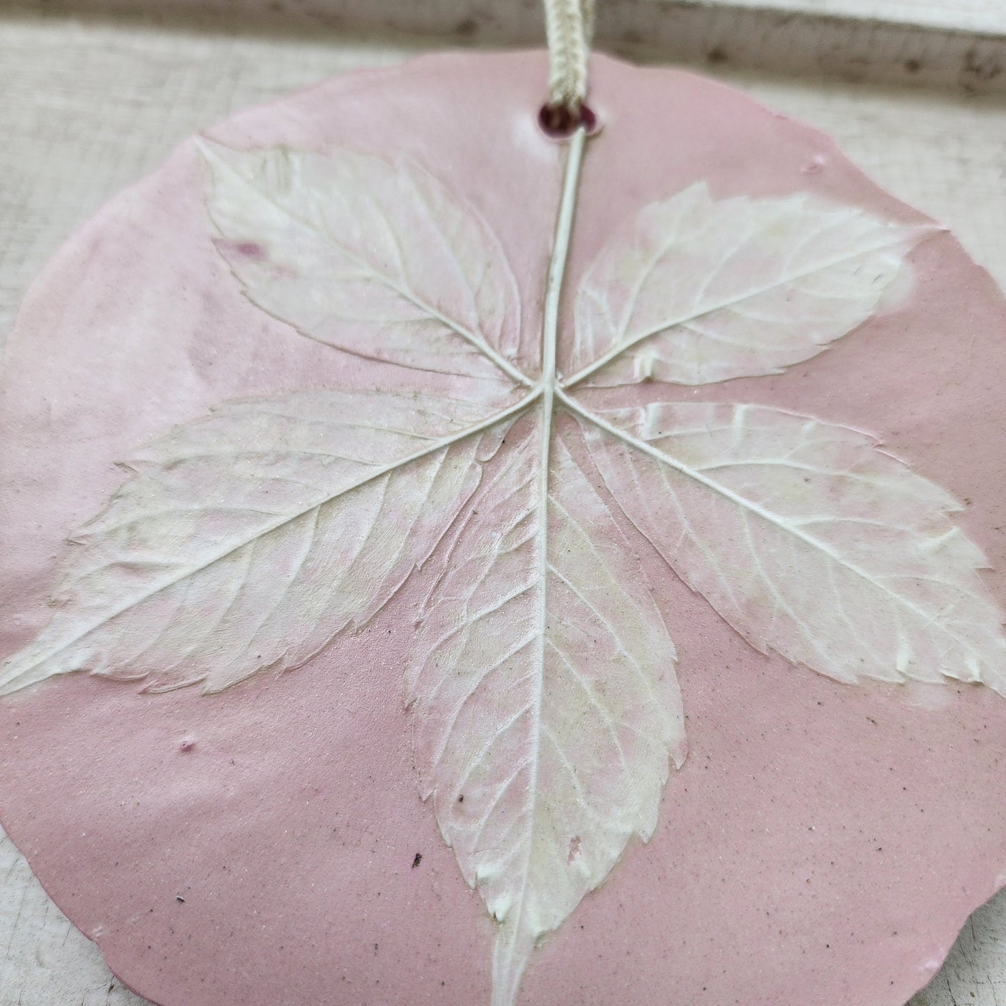 Bas-relief botanique en plâtre