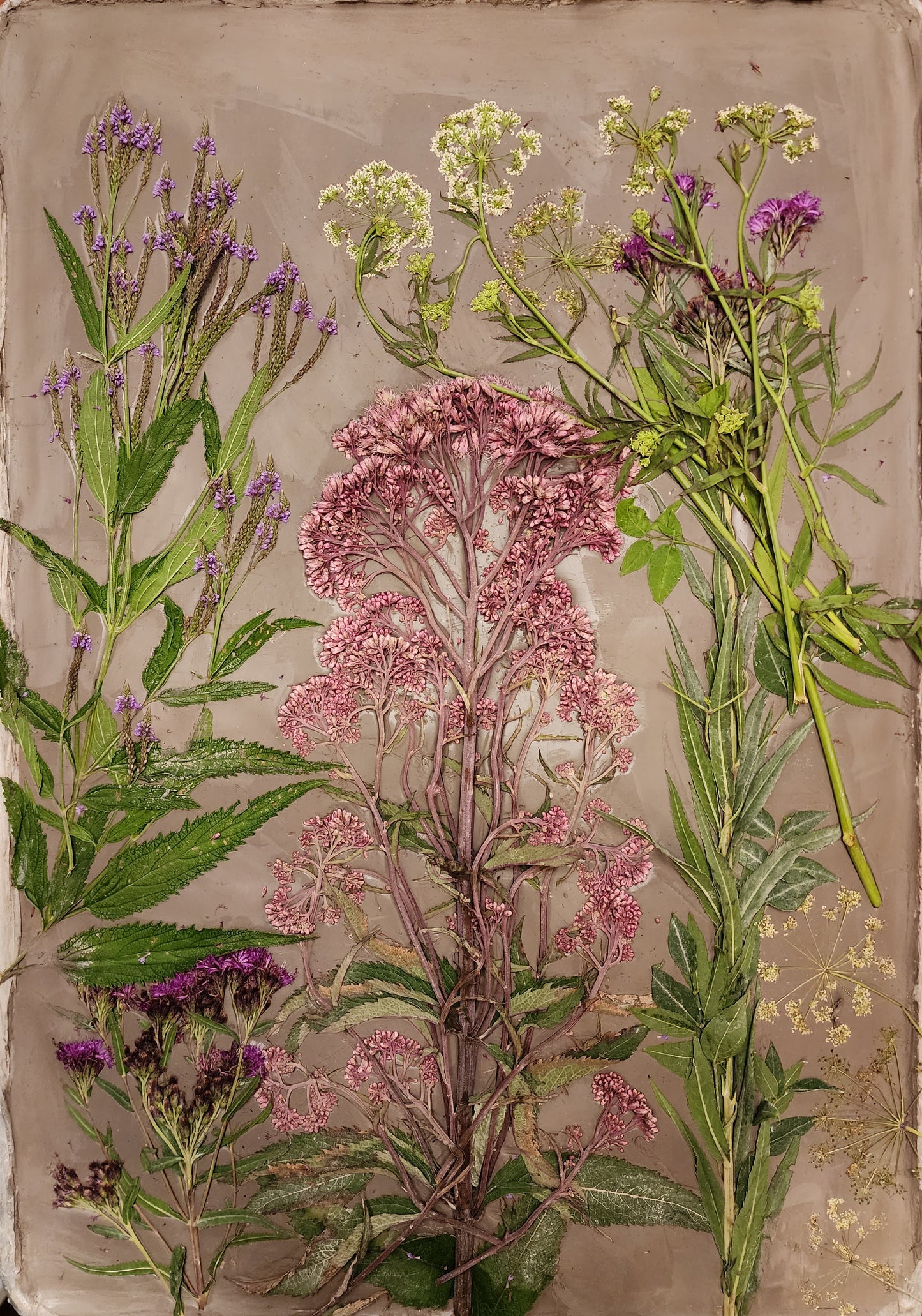 Plaster Botanical Bas Relief Artwork