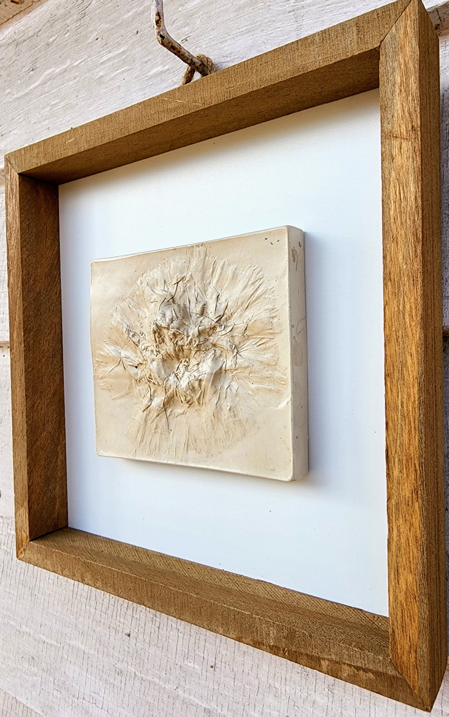 Plaster Botanical Bas Relief Artwork