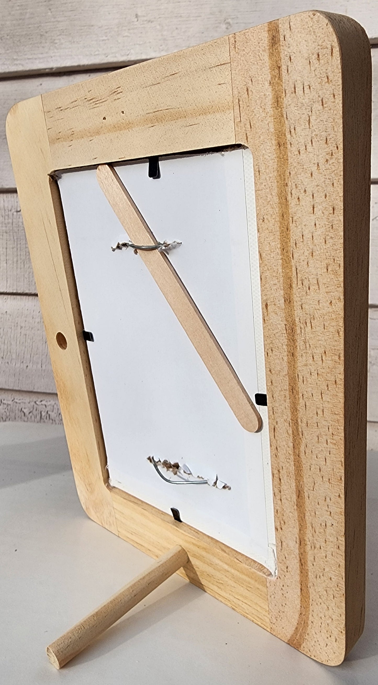 Plaster Botanical Bas Relief Artwork