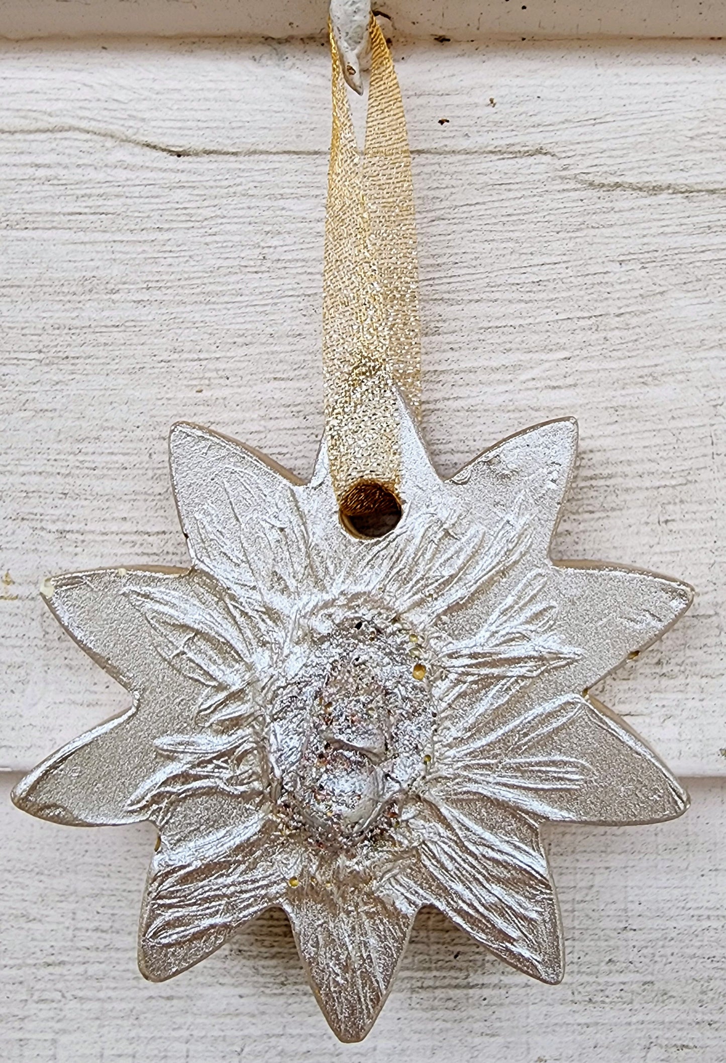 Bas-relief botanique en plâtre