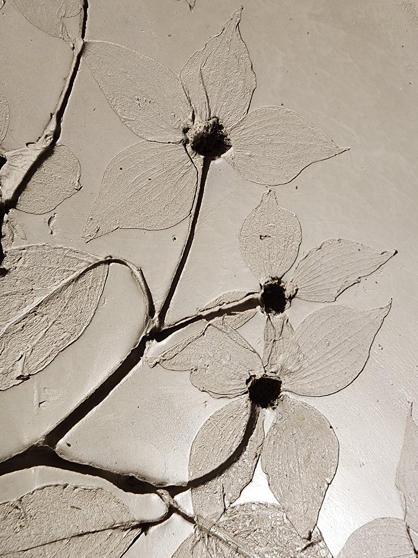 Bas-relief botanique en plâtre