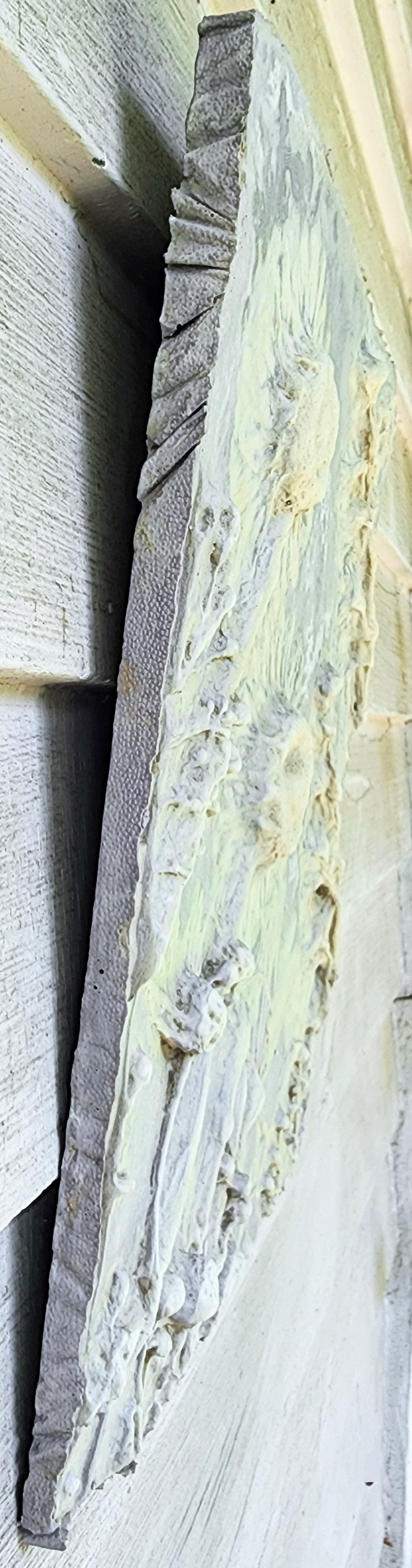 Bas-relief botanique en plâtre