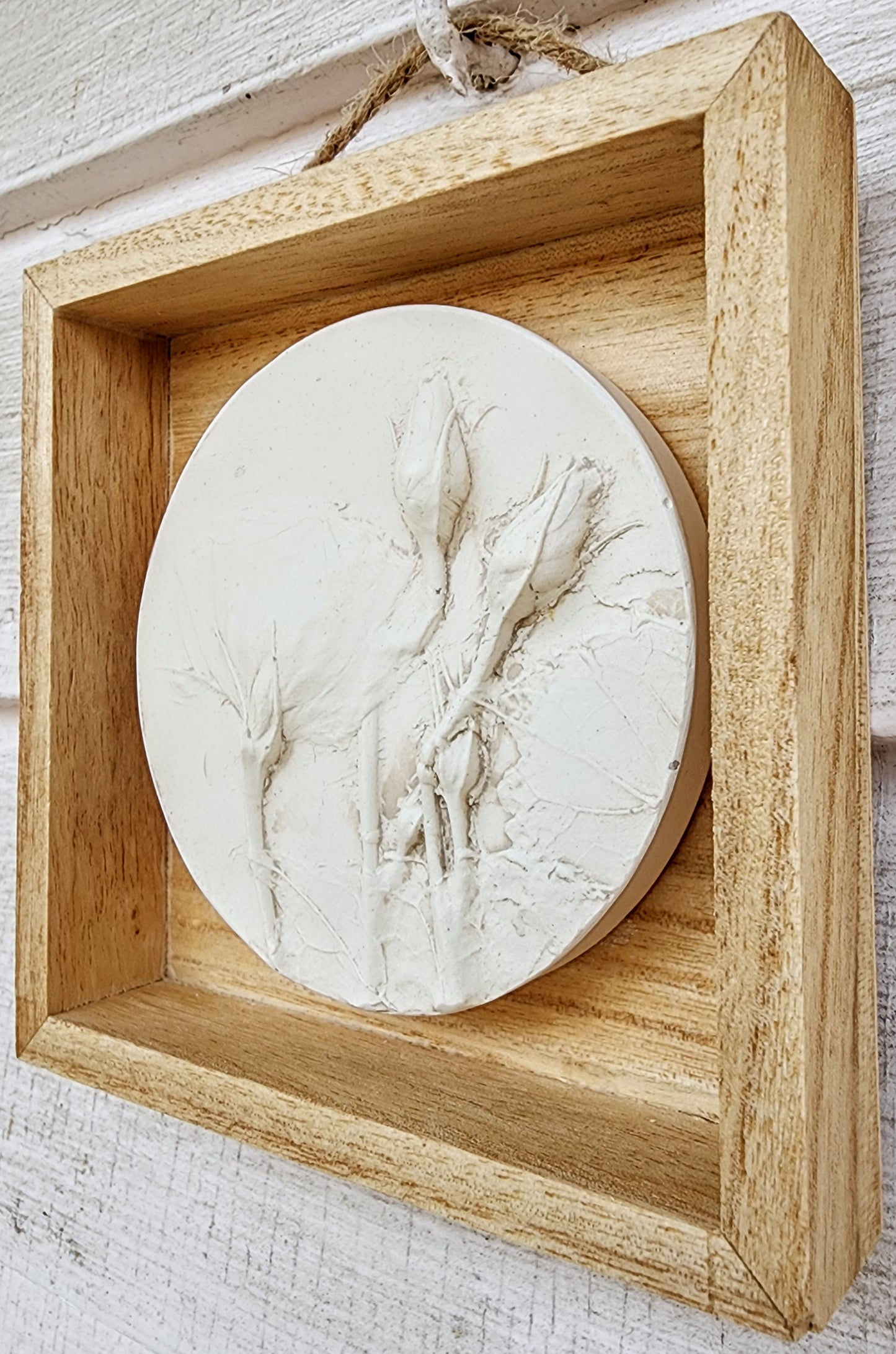 Bas-relief botanique en plâtre