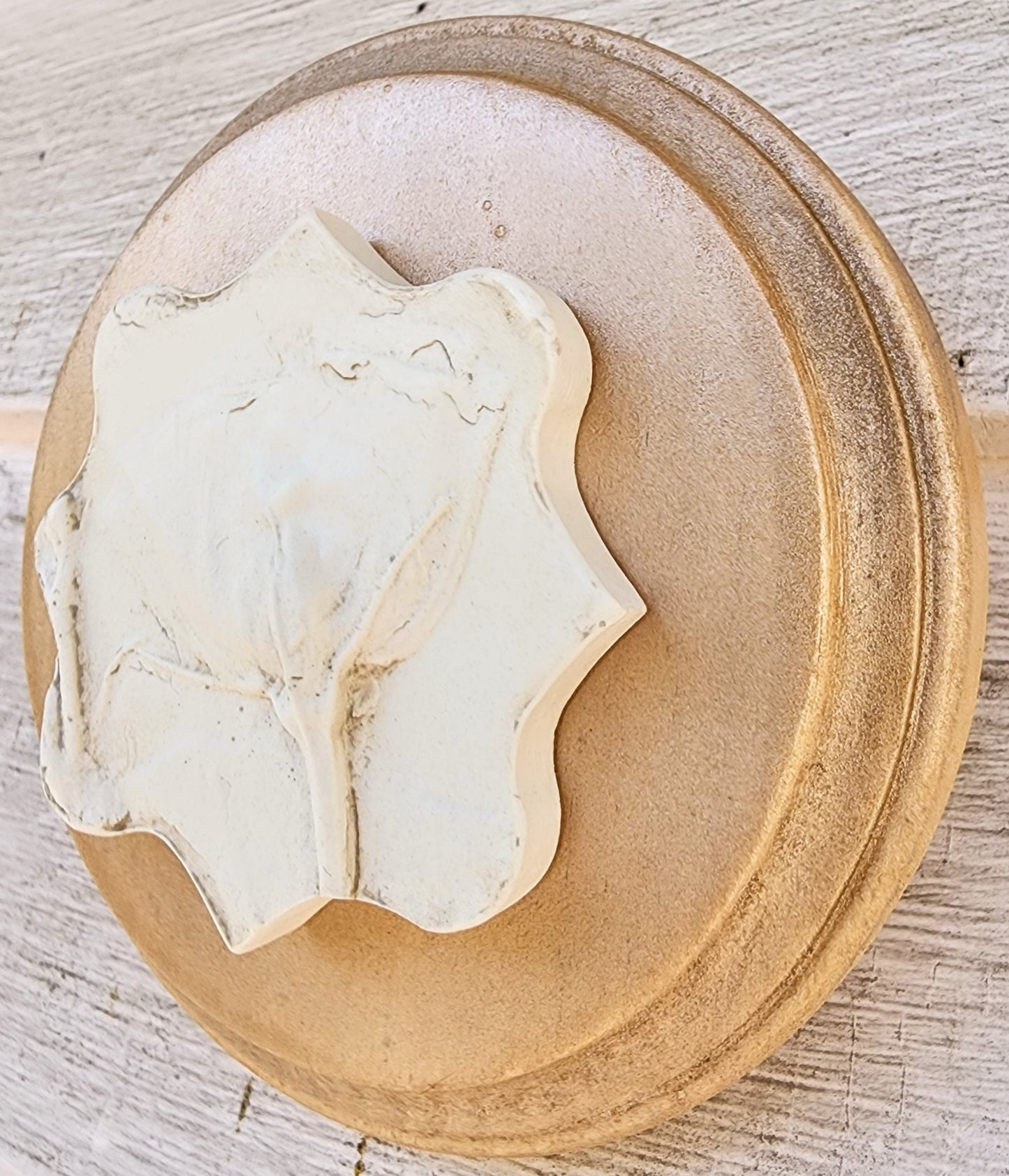 Plaster Botanical Bas Relief Artwork