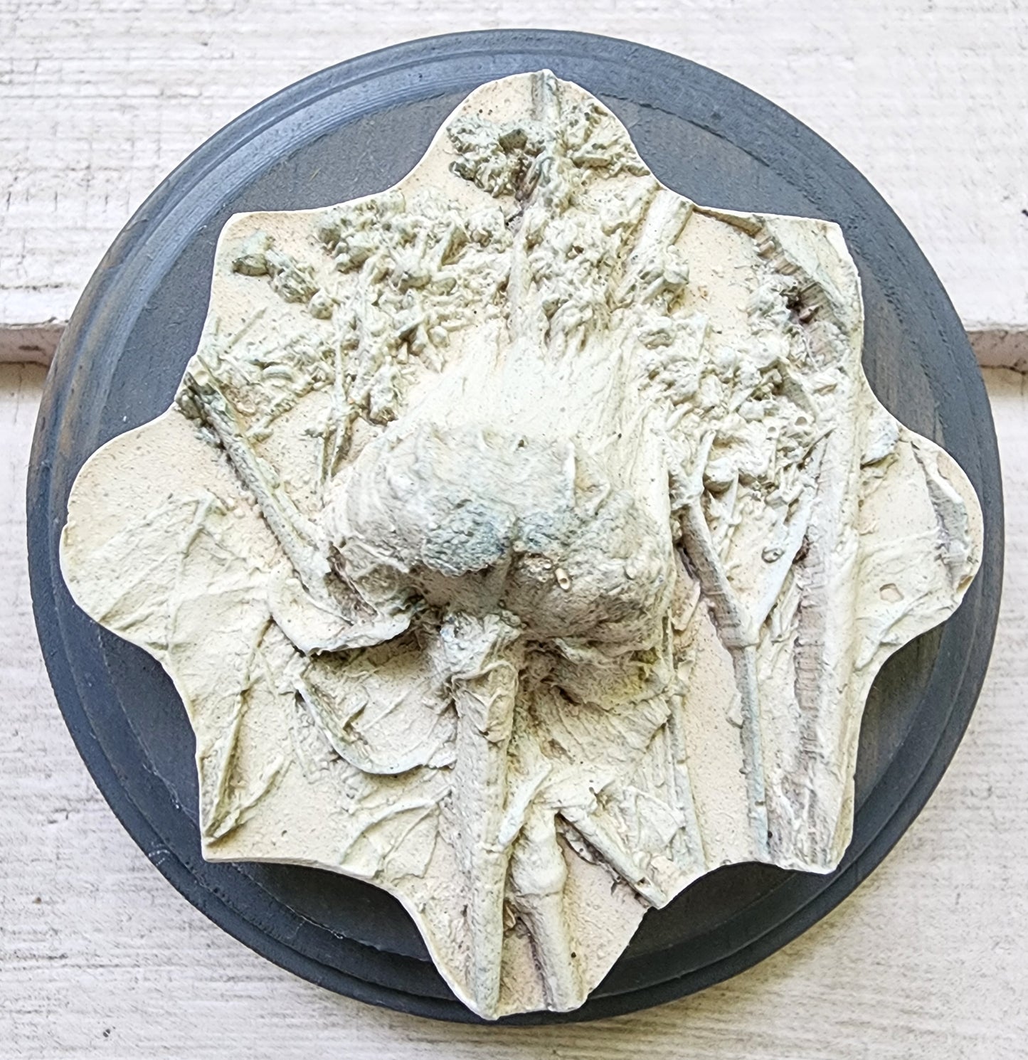 Plaster Botanical Bas Relief Artwork
