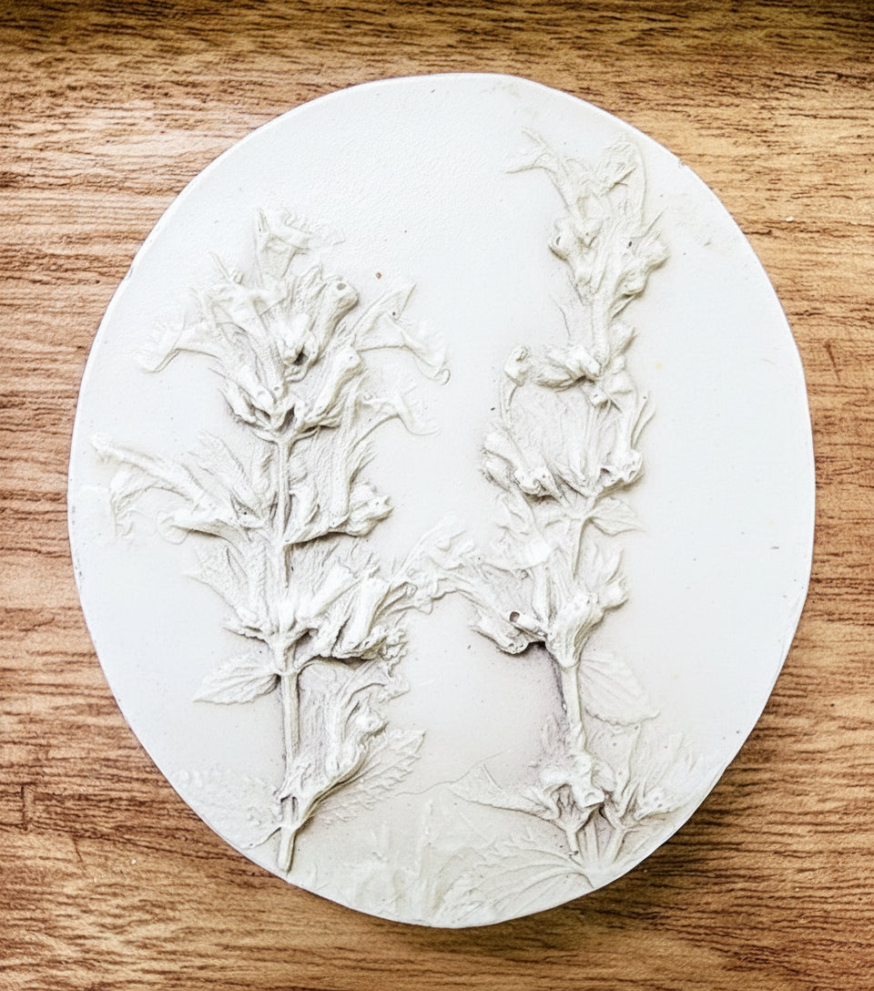 Plaster Botanical Bas Relief Artwork