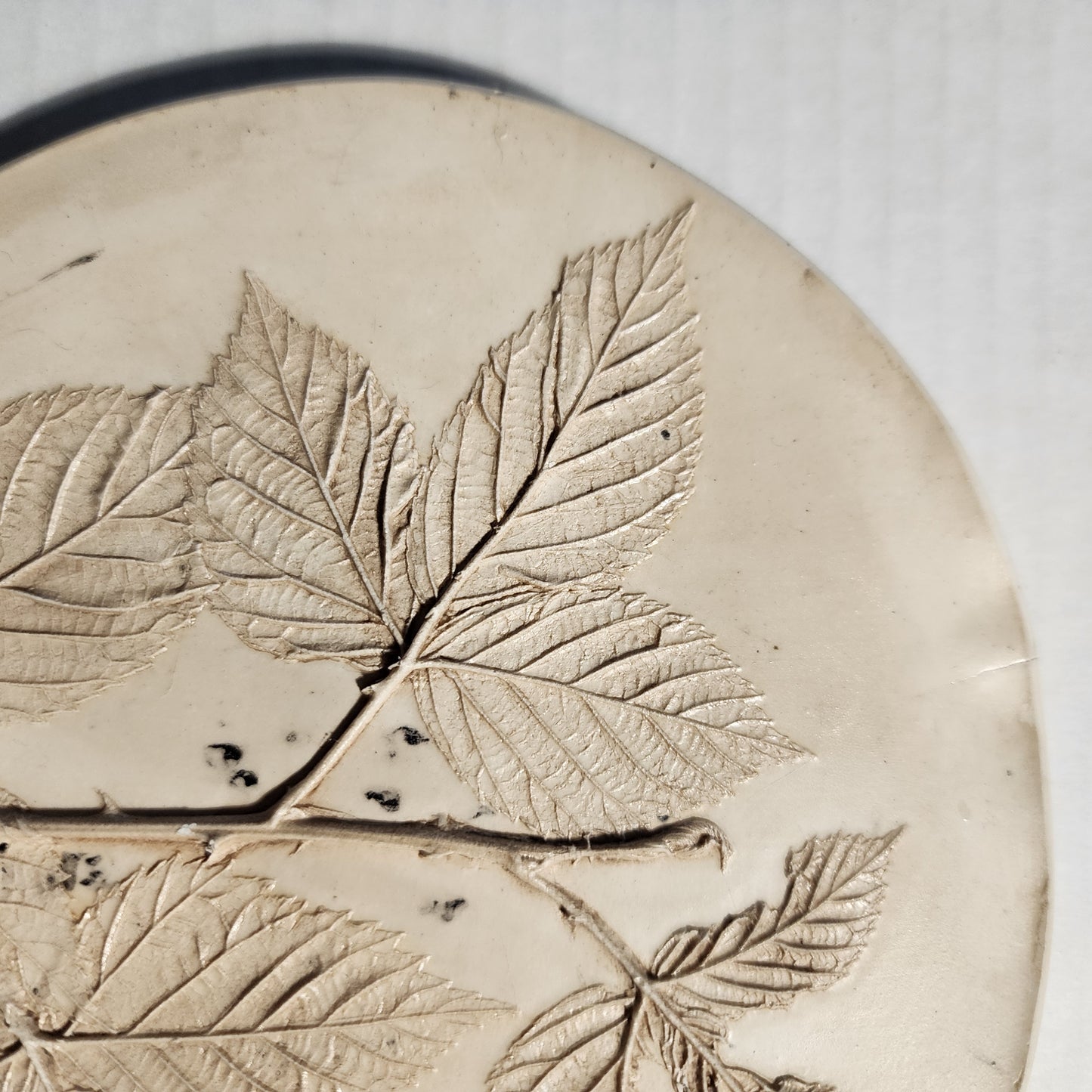 Plaster Botanical Bas Relief Artwork