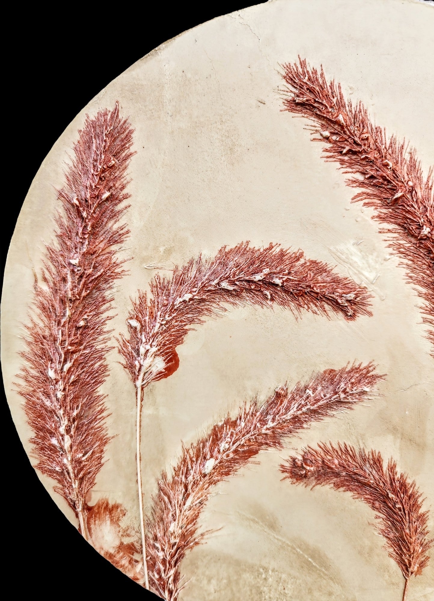 Plaster Botanical Bas Relief Artwork