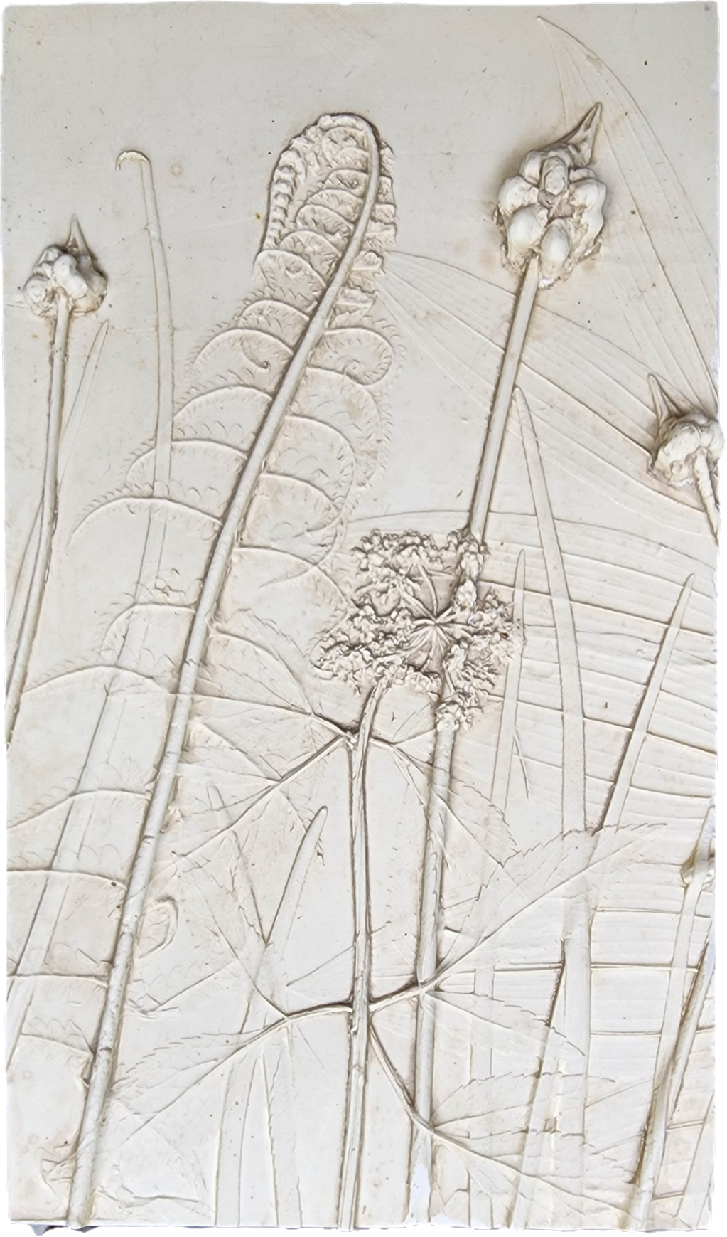 Plaster Botanical Bas Relief Artwork
