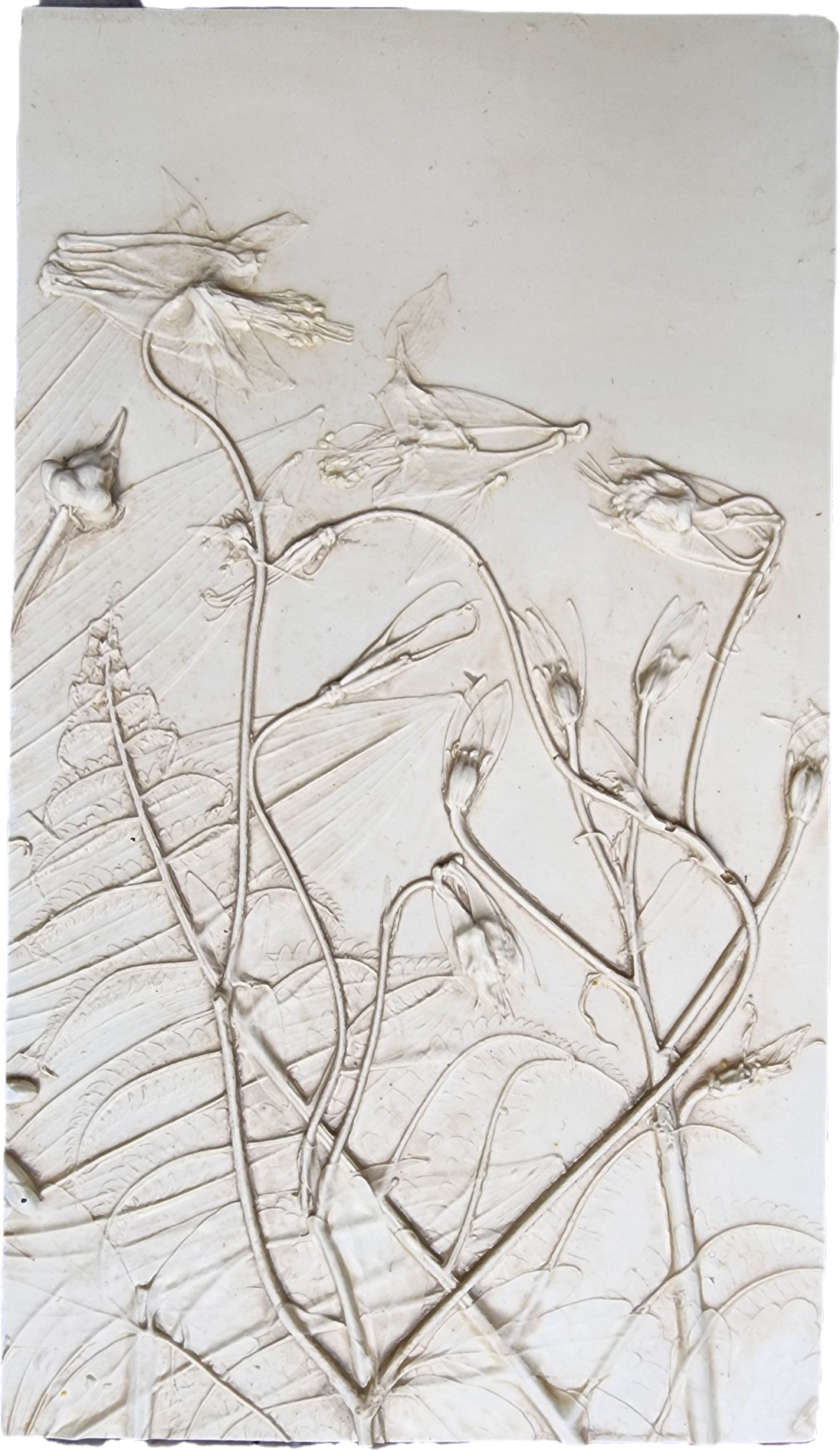 Plaster Botanical Bas Relief Artwork