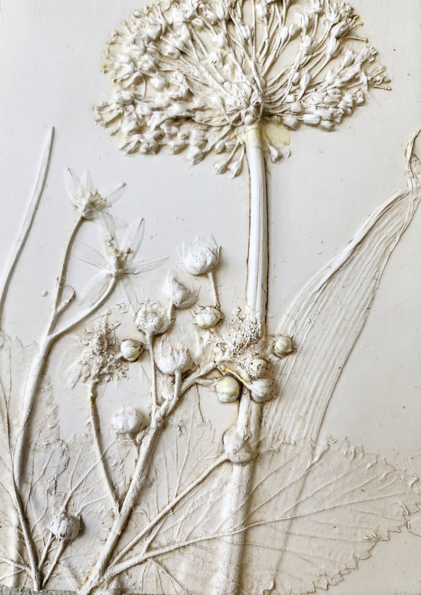 Plaster Botanical Bas Relief Artwork