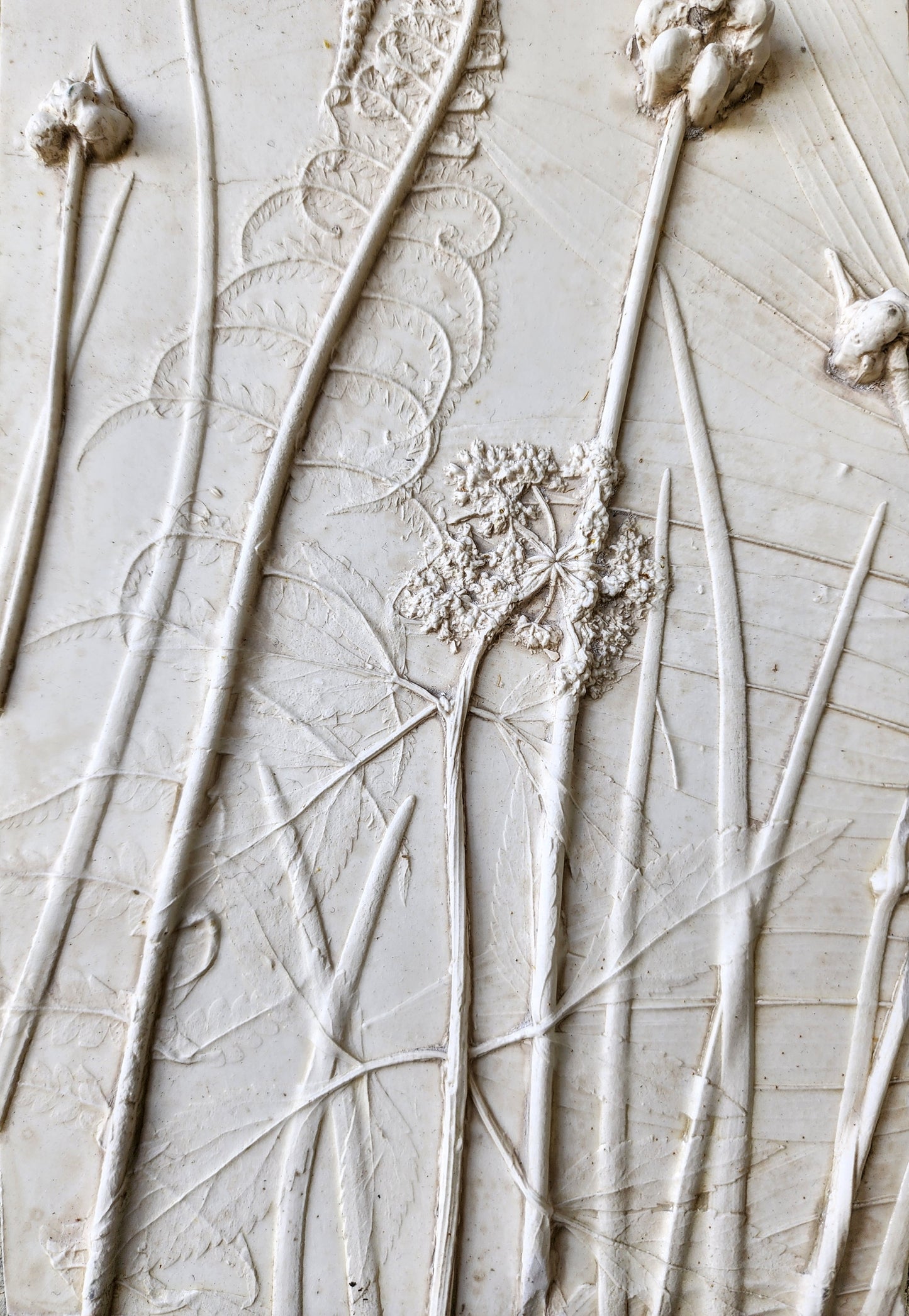 Ostrich Fern, Wild Onion, Solomon's Seal & Golden Alexander Plaster Botanical Bas Relief Wall Art
