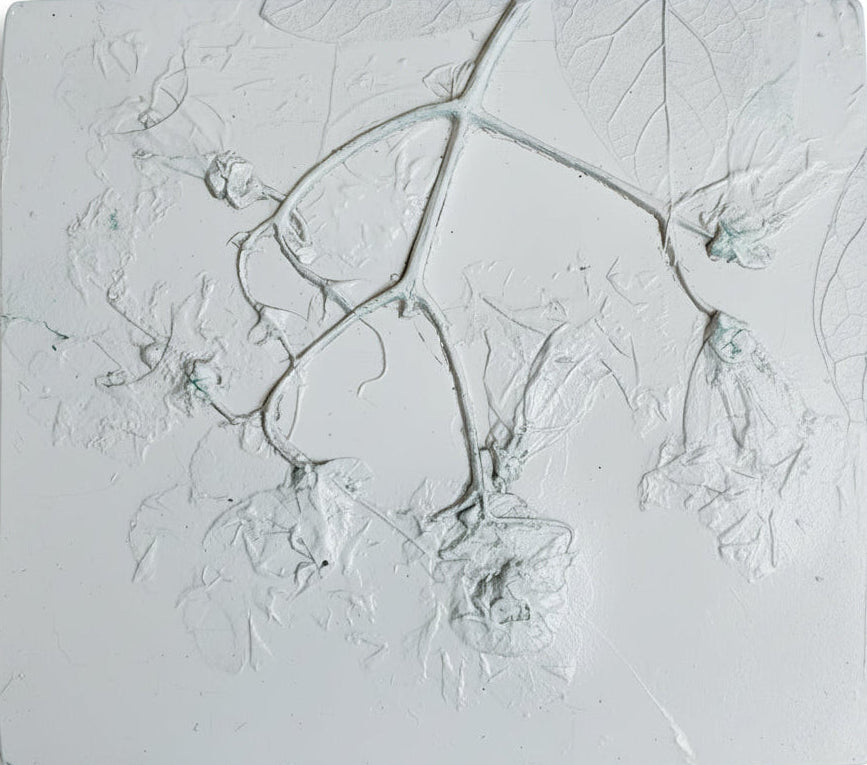 Northern Catalpa Plaster Botanical Bas Relief Wall Art