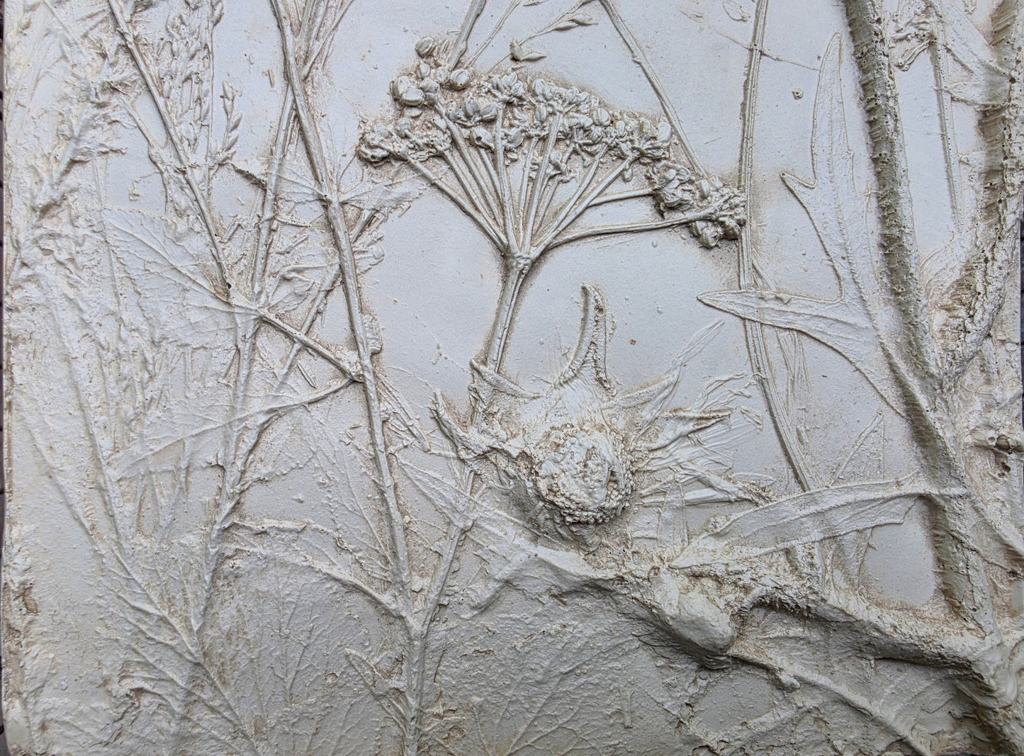 Plaster Botanical Bas Relief Wall Art