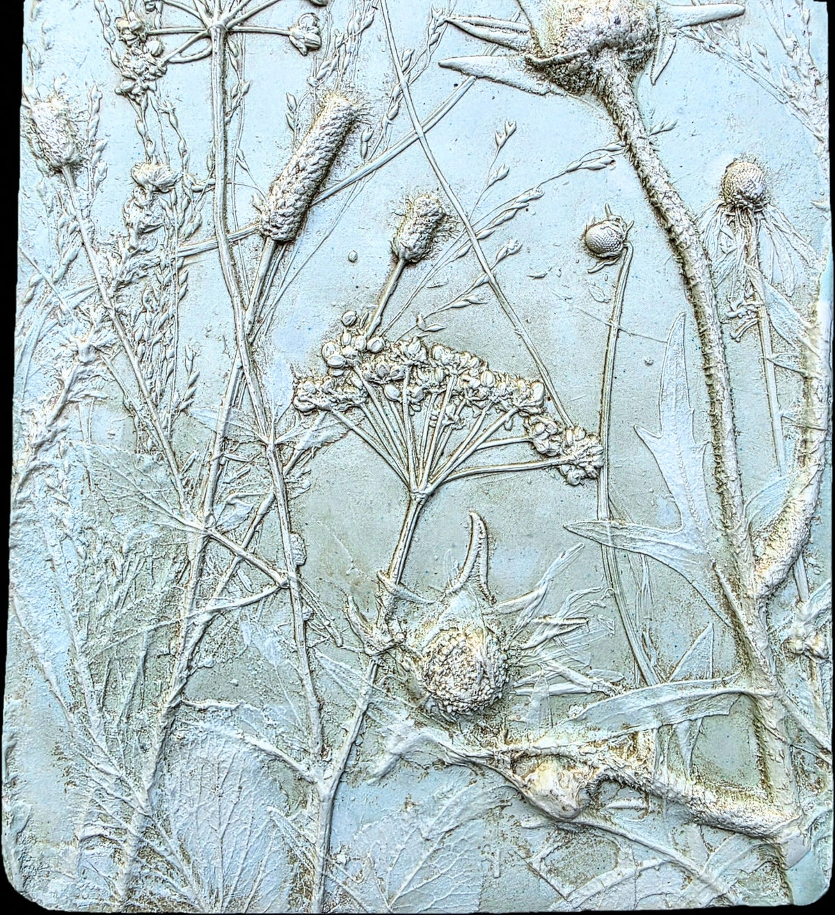Compassplant, Golden Alexander & Gray-headed Coneflower Bas Relief – Green-tinted Plaster