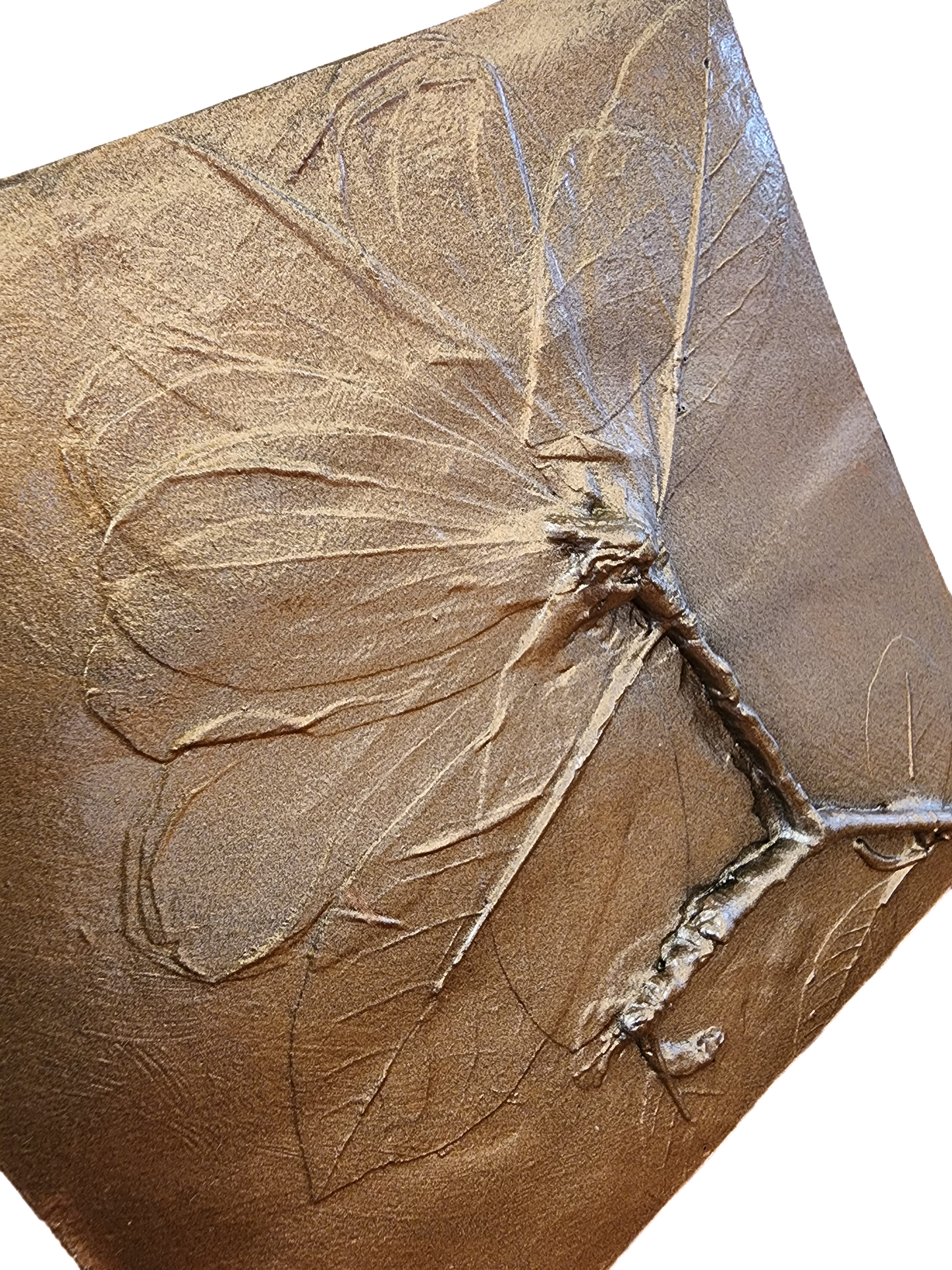 Bas-relief botanique en plâtre