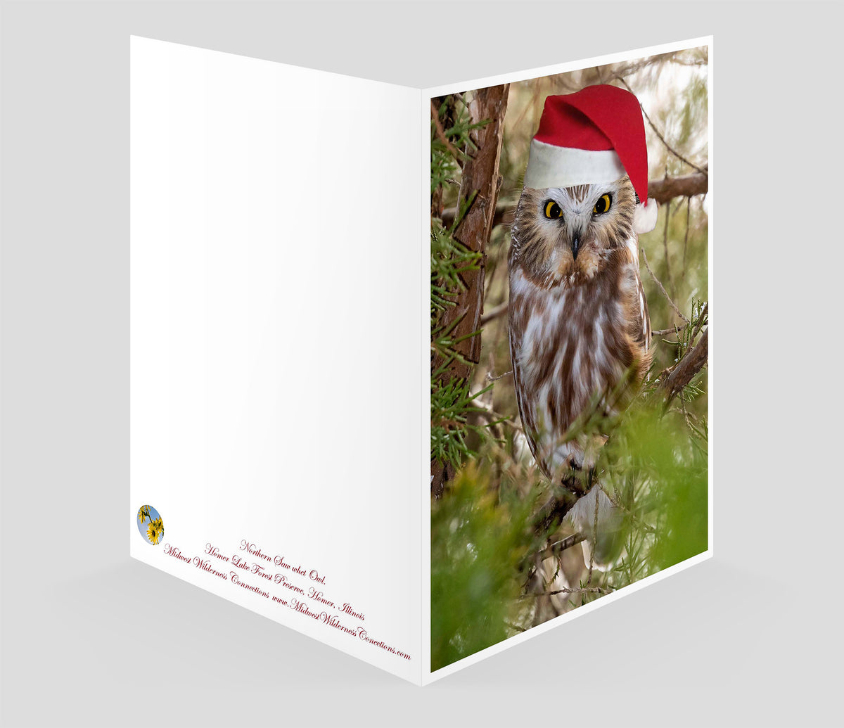 Homer Lake Forest Preserve Greeting Card IMG_0647
