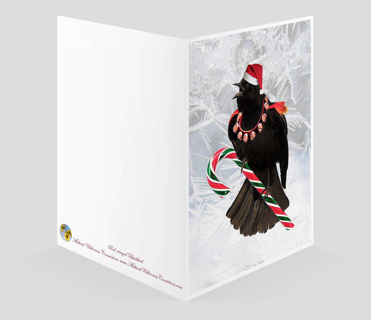Singing Red-winged Blackbird Greeting Card | Green Island, Iowa