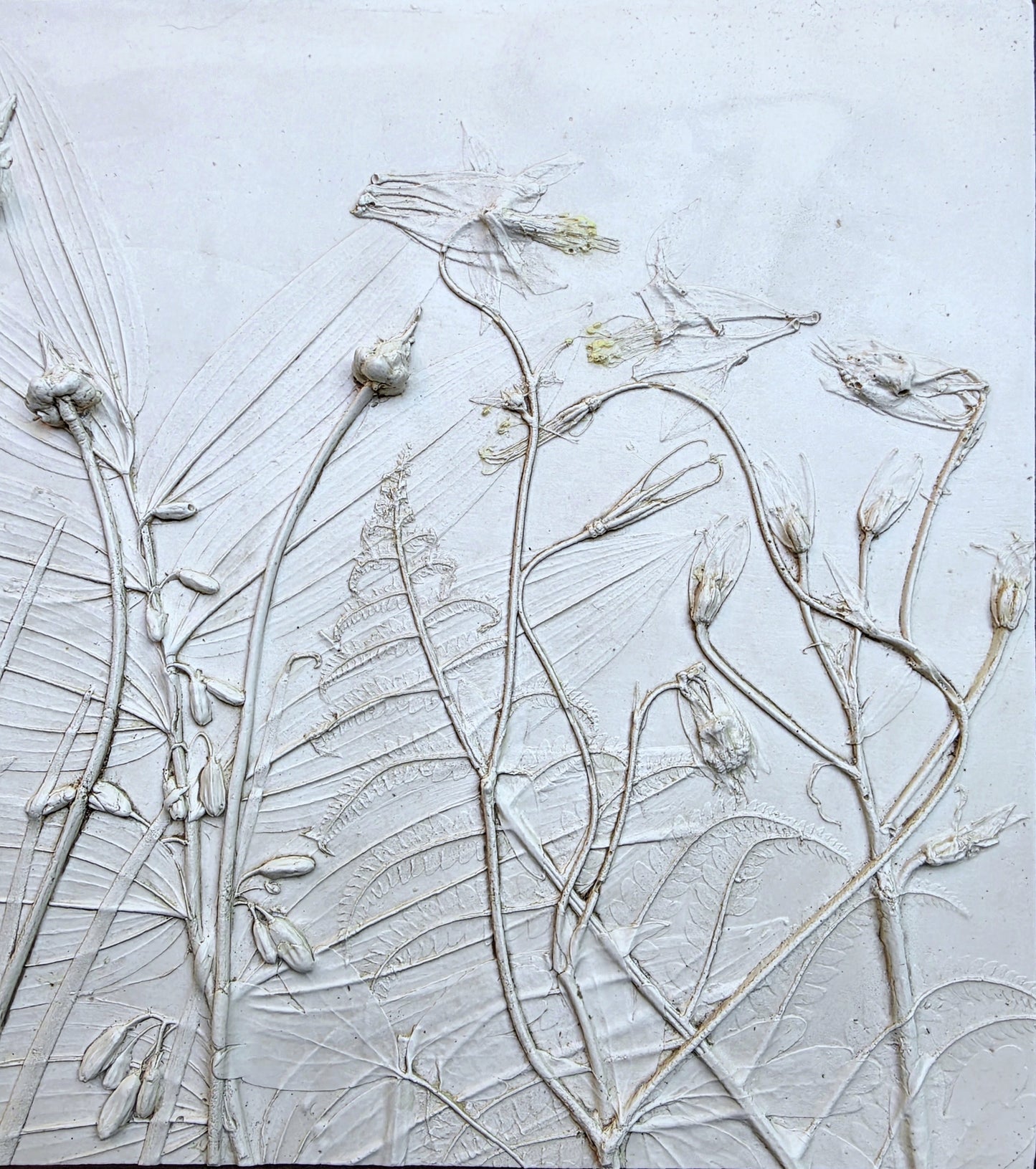 Wild Columbine, Solomon's Seal & Ostrich Fern Bas Relief – Framed Natural Plaster