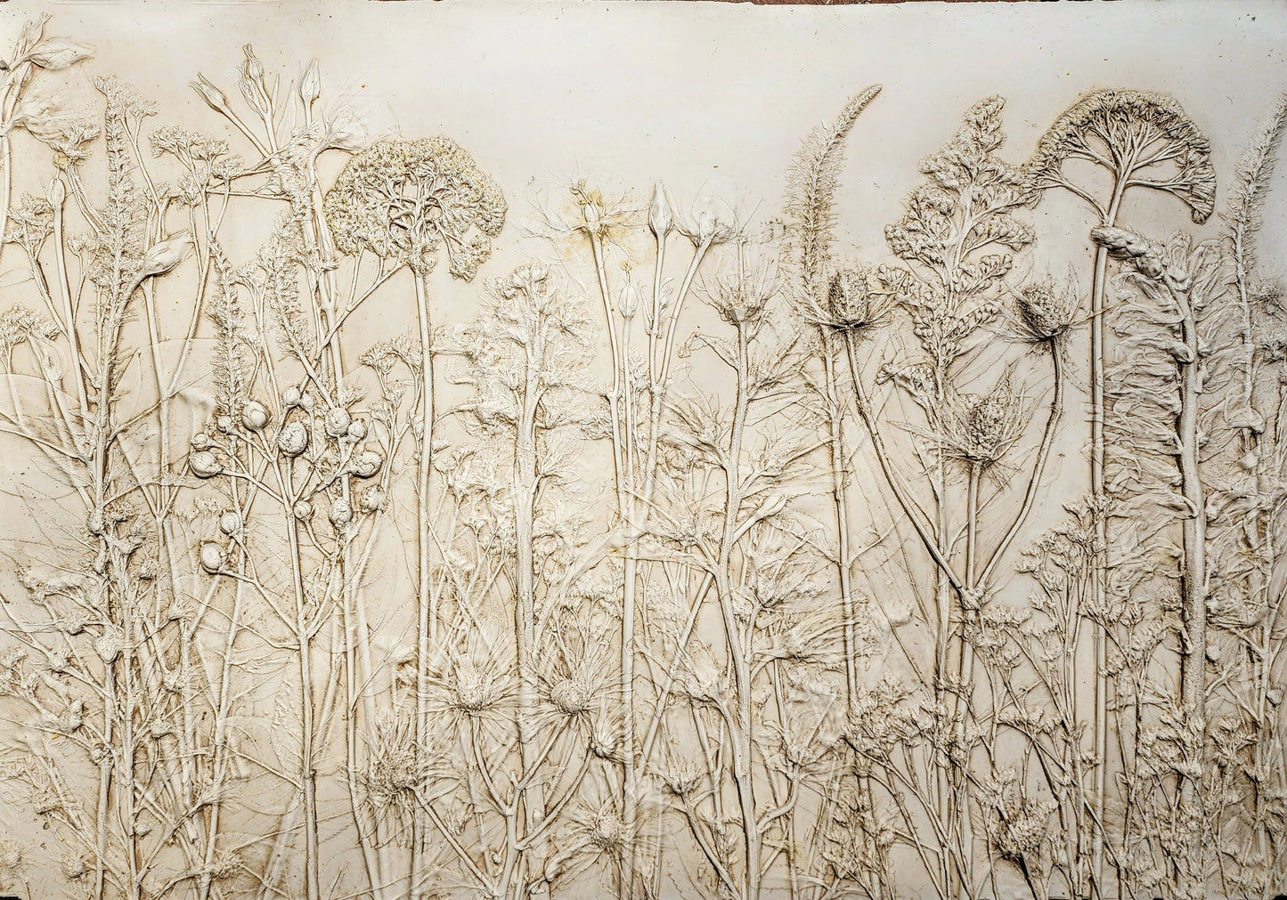 Plaster Botanical Bas Relief Artwork