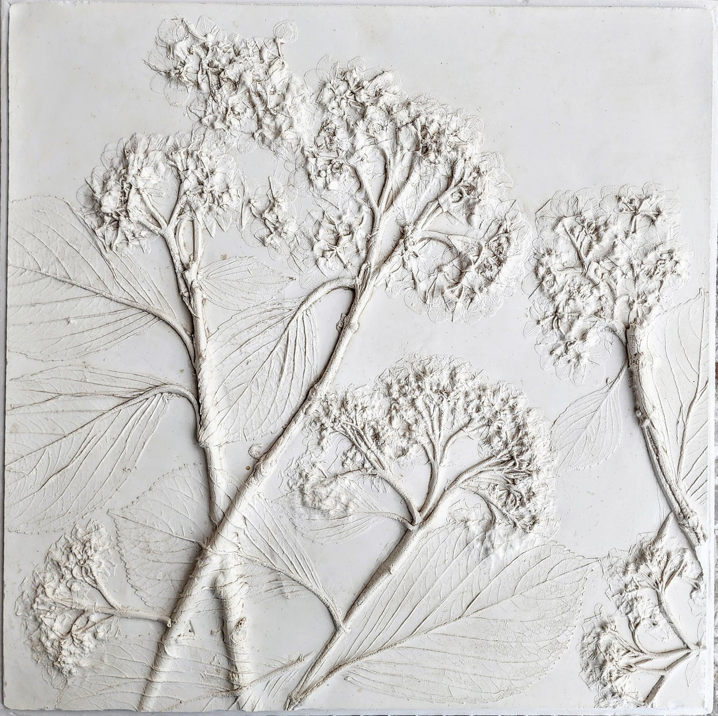 Plaster Botanical Bas Relief Artwork