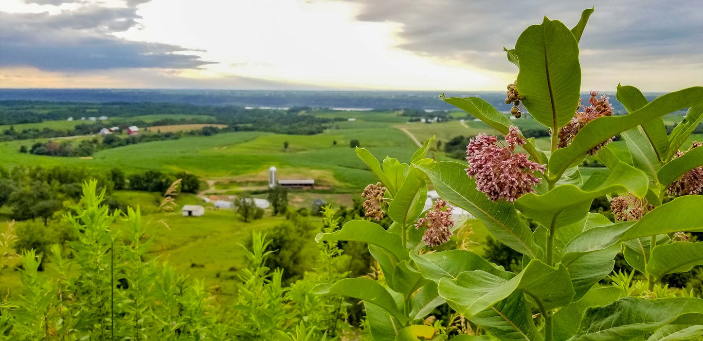 Balltown Overlook Greeting Card IMG_193507-2