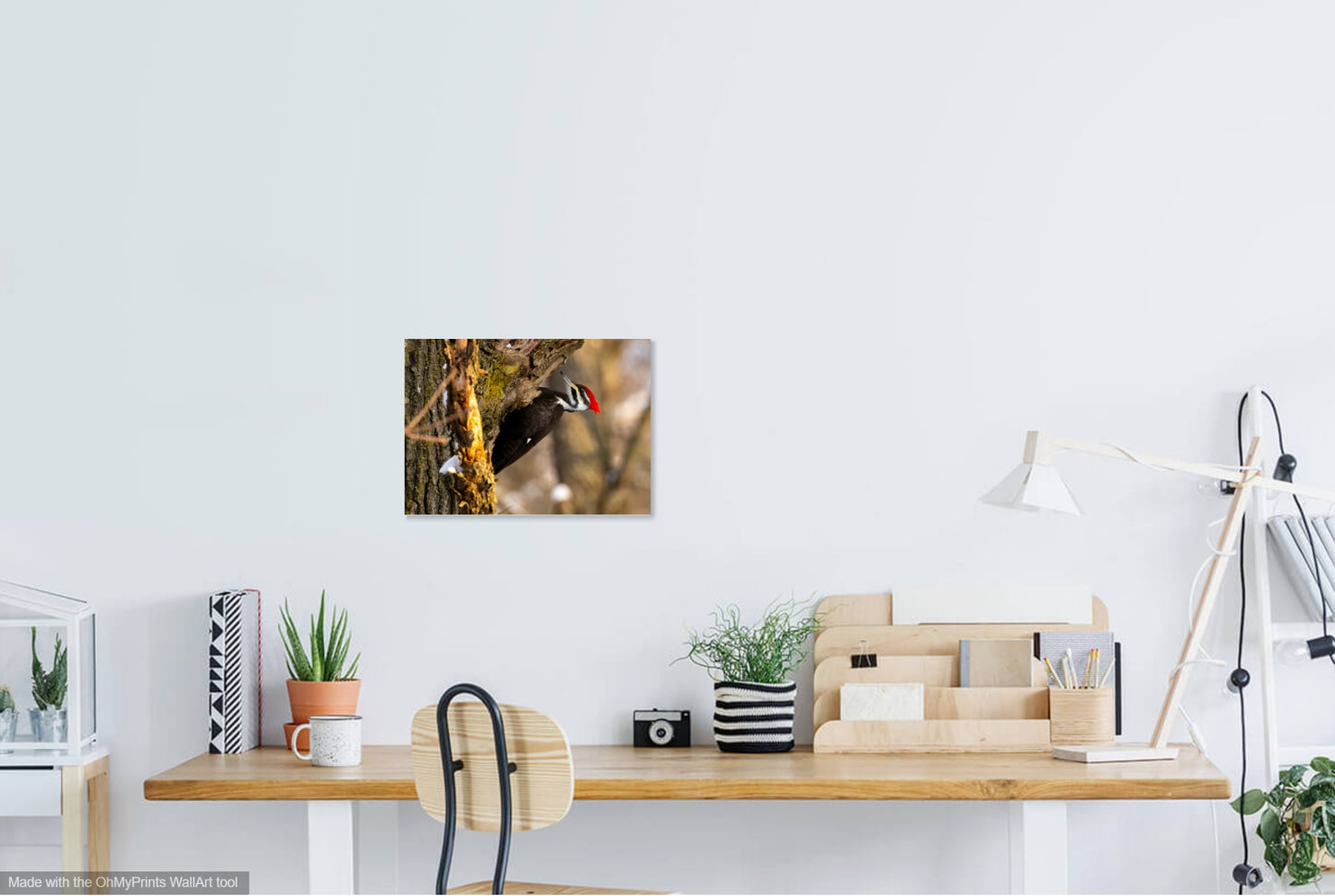 Homer Lake Forest Preserve Photo Print IMG_0259