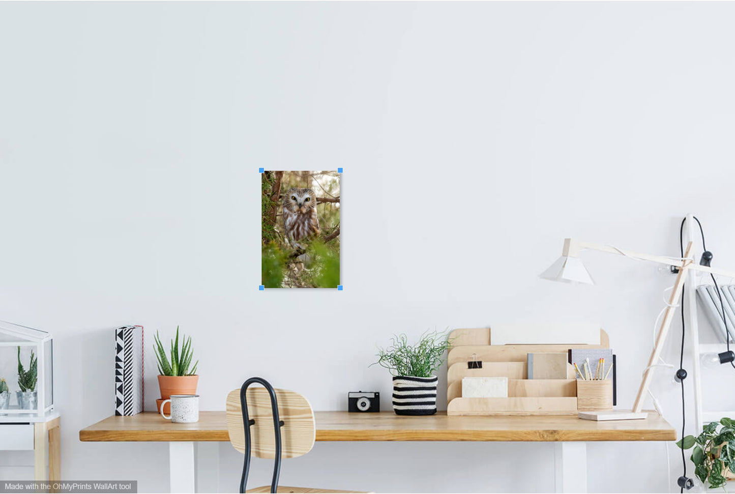 Photographie de la réserve forestière du lac Homer IMG_0647