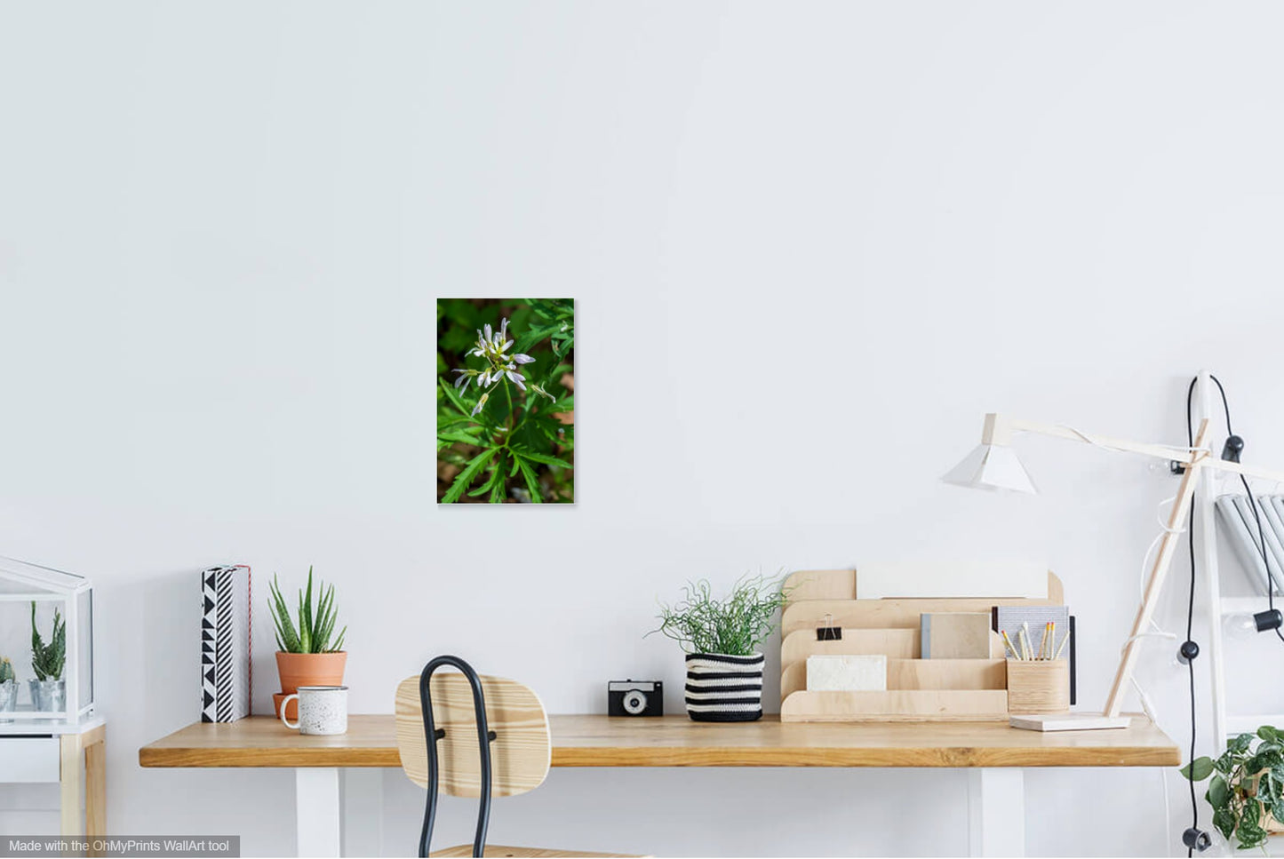 Shady Rest Park Photo Print IMG_1384