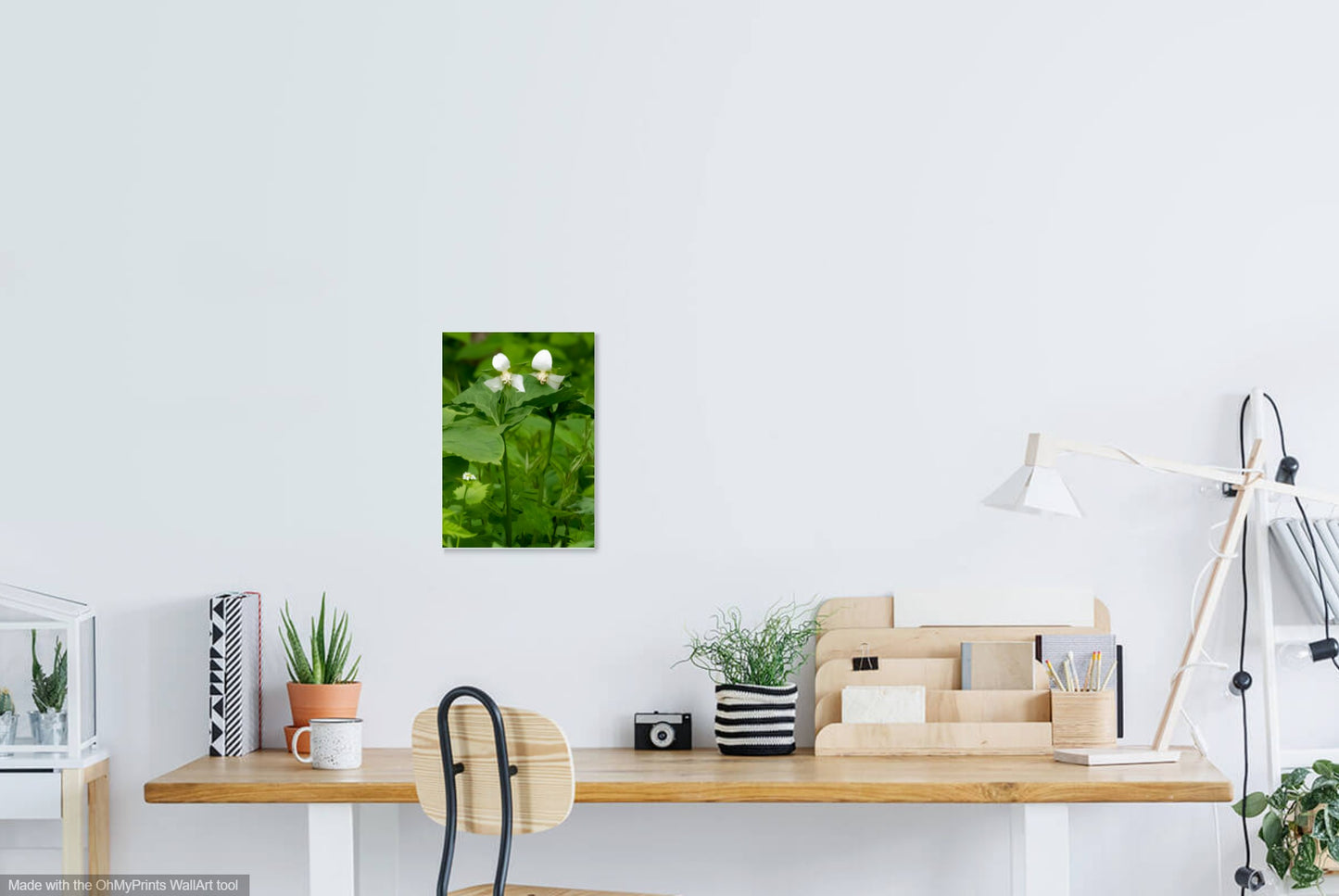 Green Island WMA Photo Print IMG_1842