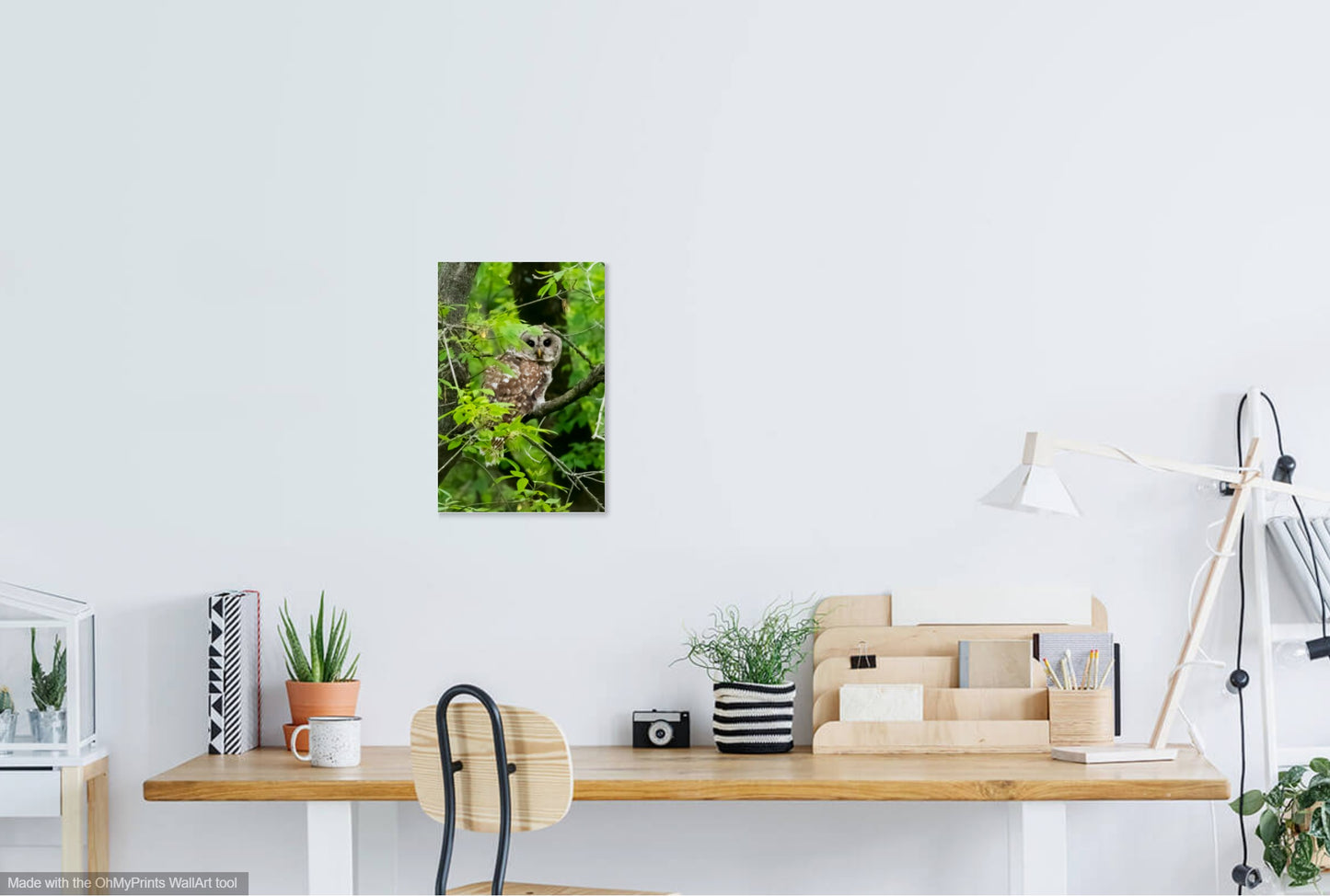 Photographie de l'île Verte WMA IMG_2195