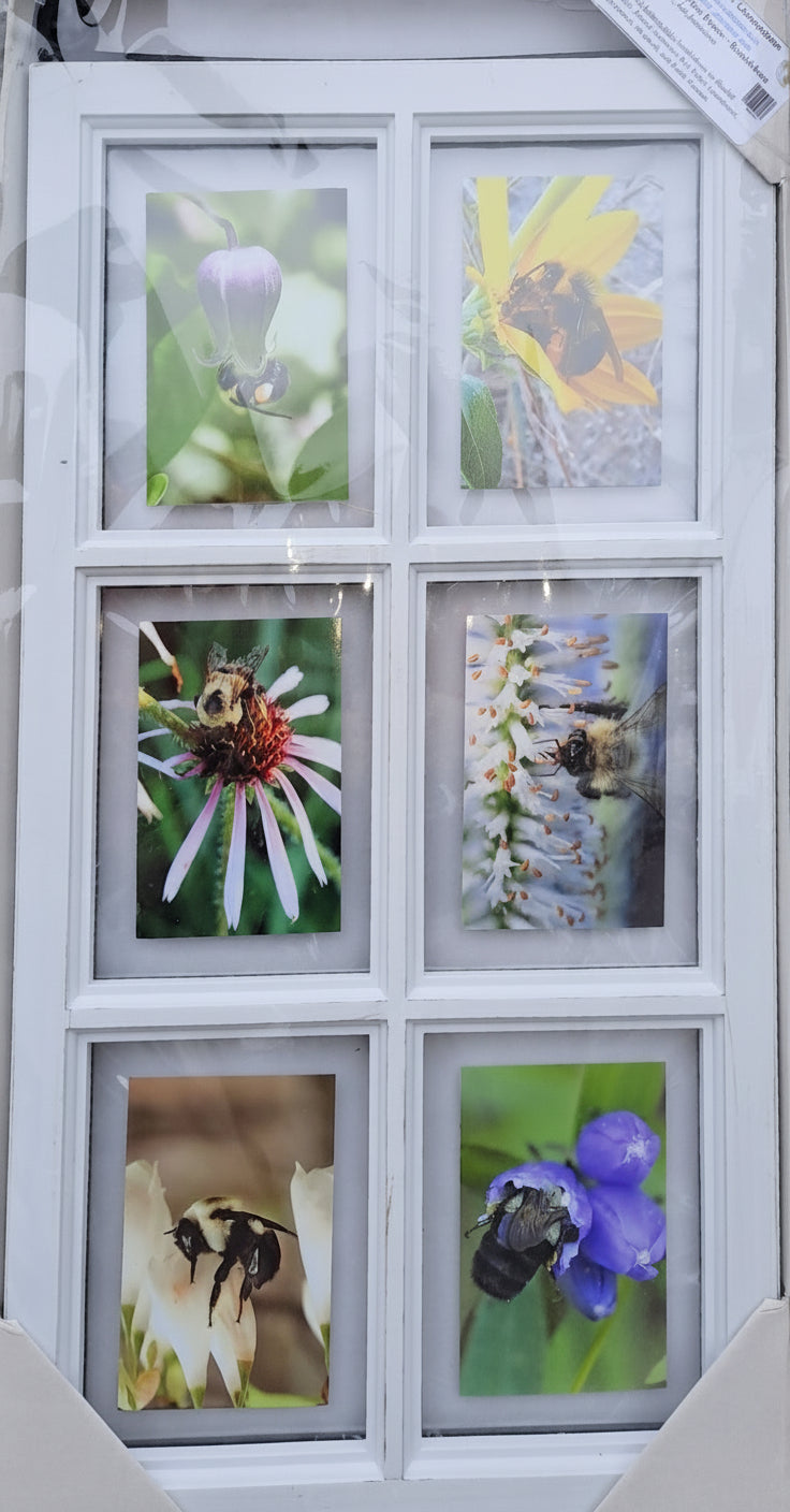 Cadre flottant pour fenêtre de grange - Bourdons