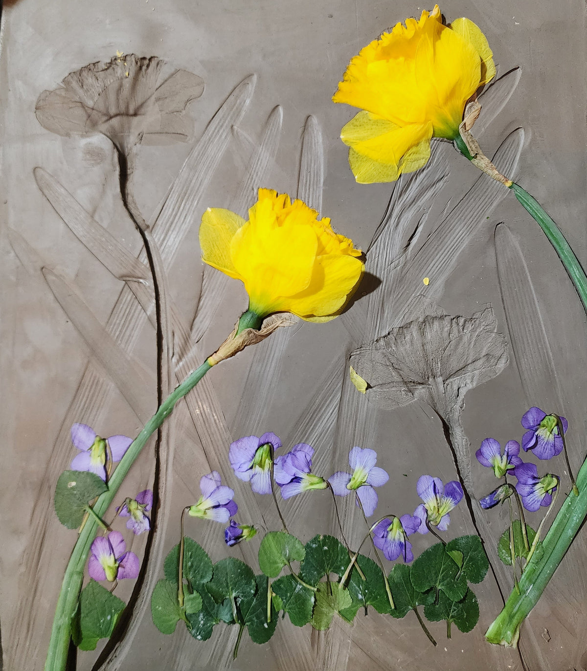 Daffodils & Common Violets Plaster Botanical Bas Relief Wall Art