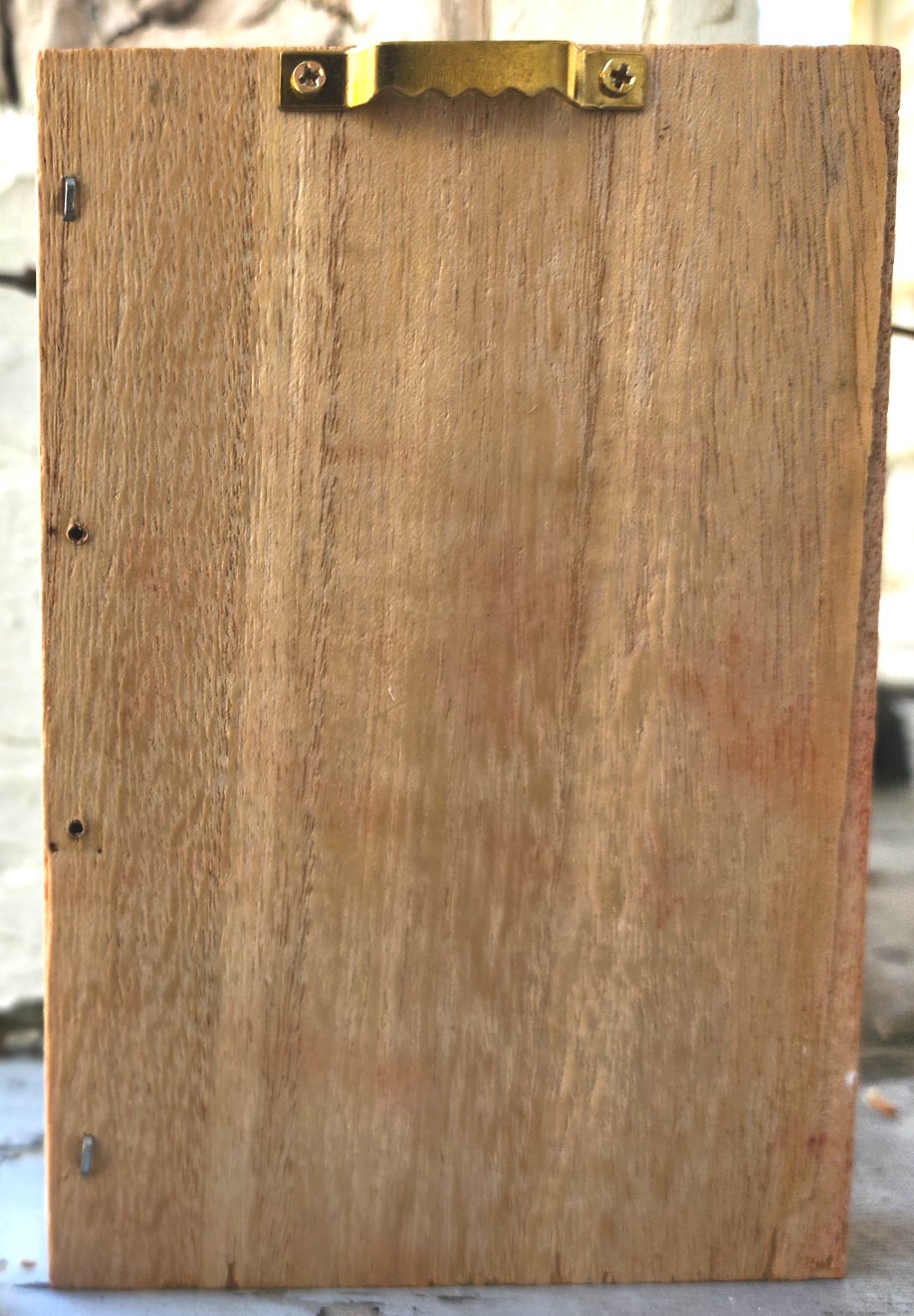 Plaster Botanical Bas Relief Artwork