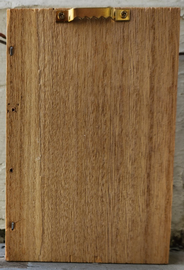 Plaster Botanical Bas Relief Artwork