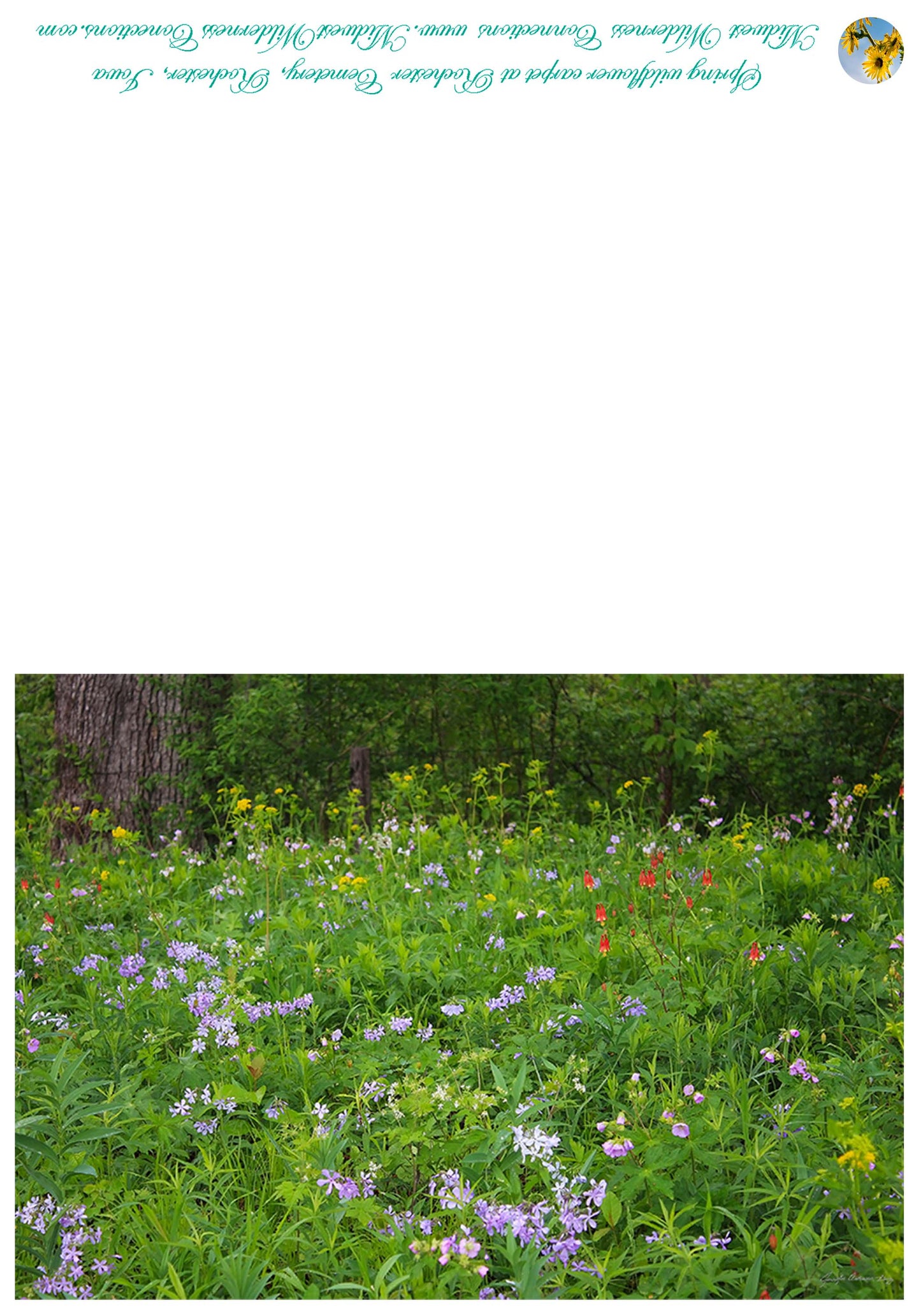 Rochester Cemetery Prairie Greeting Card IMG_0149
