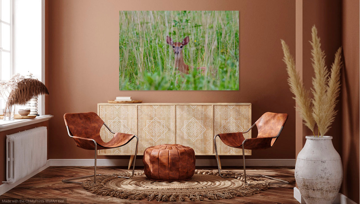 Horseshoe Bend Photo Print IMG_0161