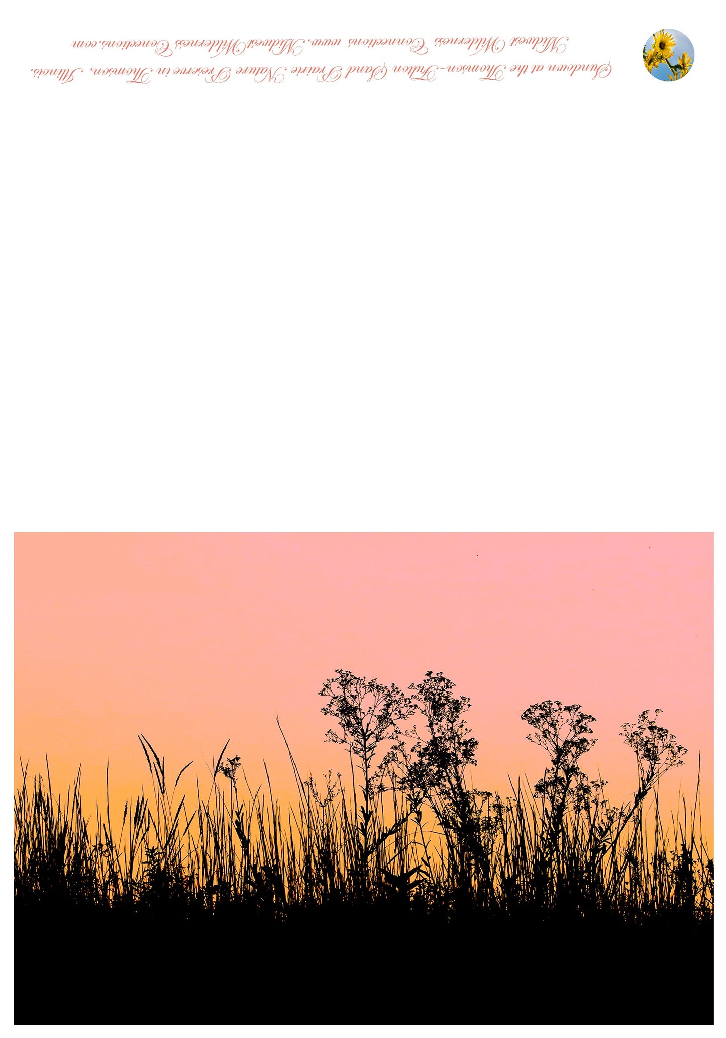 Thomson-Fulton Sand Prairie NP Greeting Card IMG_052A0424