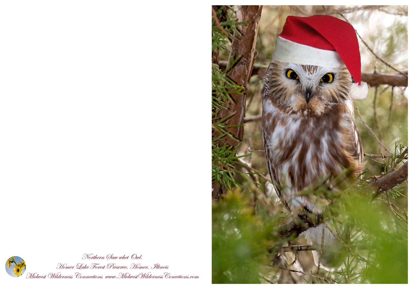 Carte de vœux de la réserve forestière d'Homer Lake IMG_0647