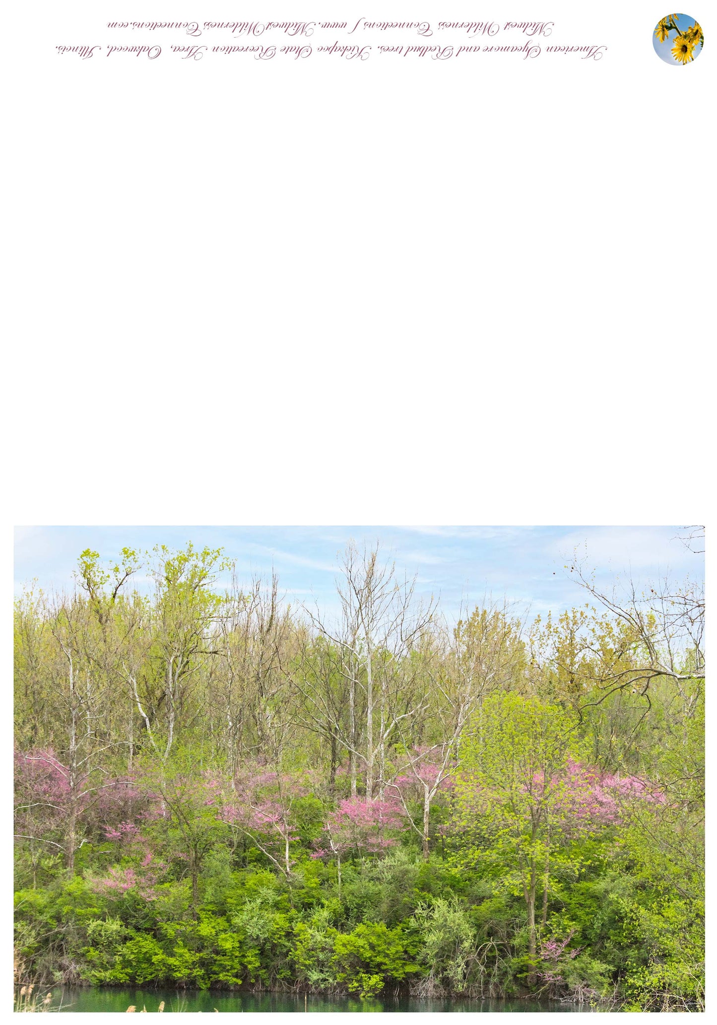 Kickapoo State Recreation Area Greeting Card IMG_1021