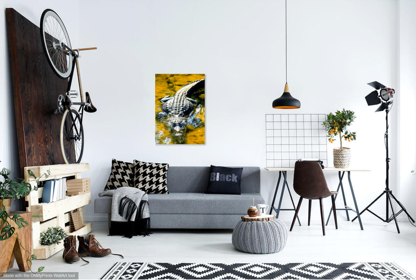 Photographie du parc national des Everglades IMG_1024