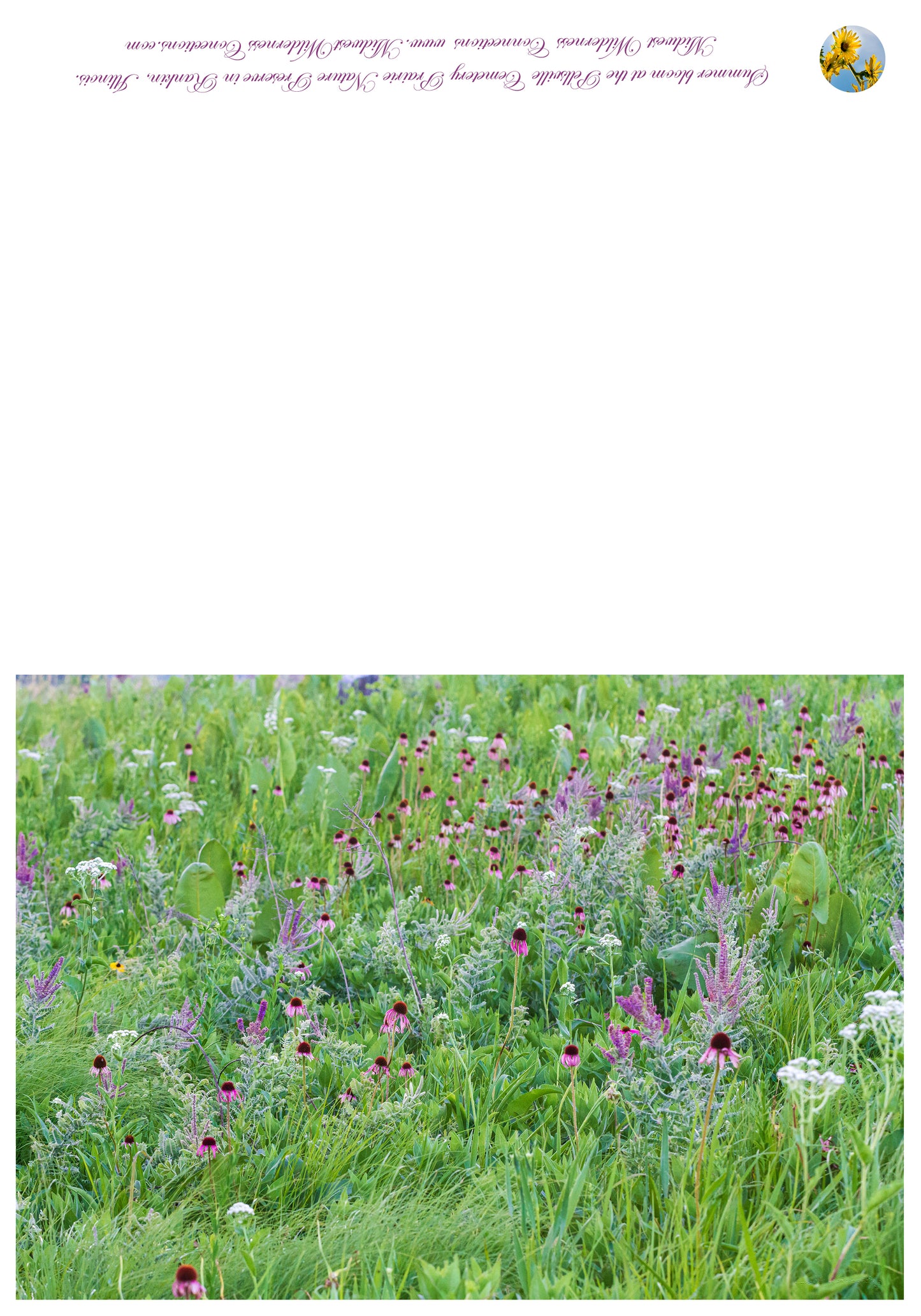 Carte de vœux du parc national des Prairies du cimetière de Pellsville IMG_1096