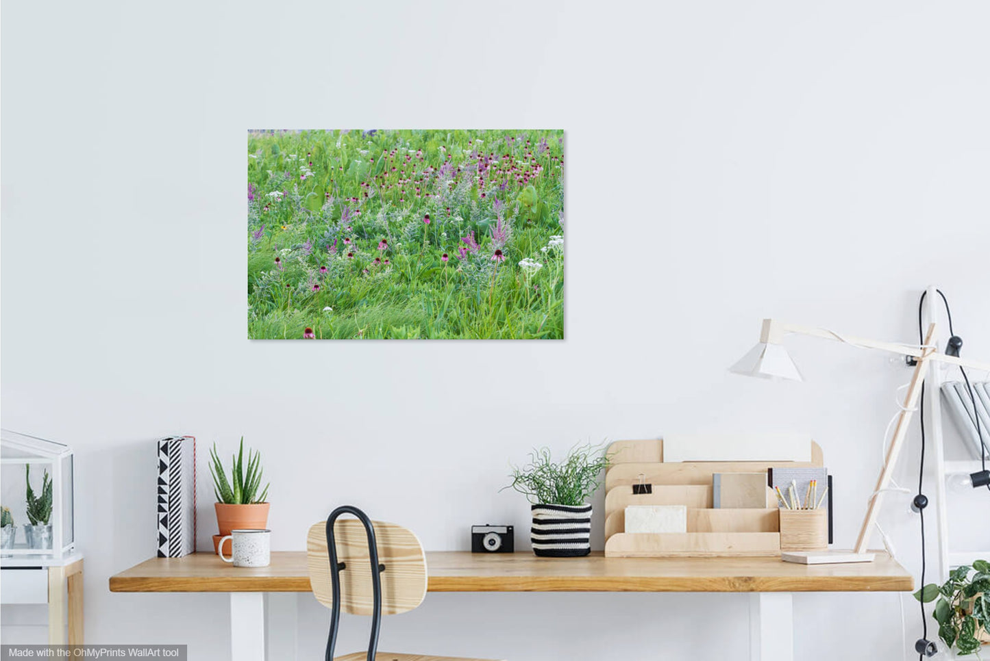 Photographie de la prairie du cimetière de Pellsville IMG_1096