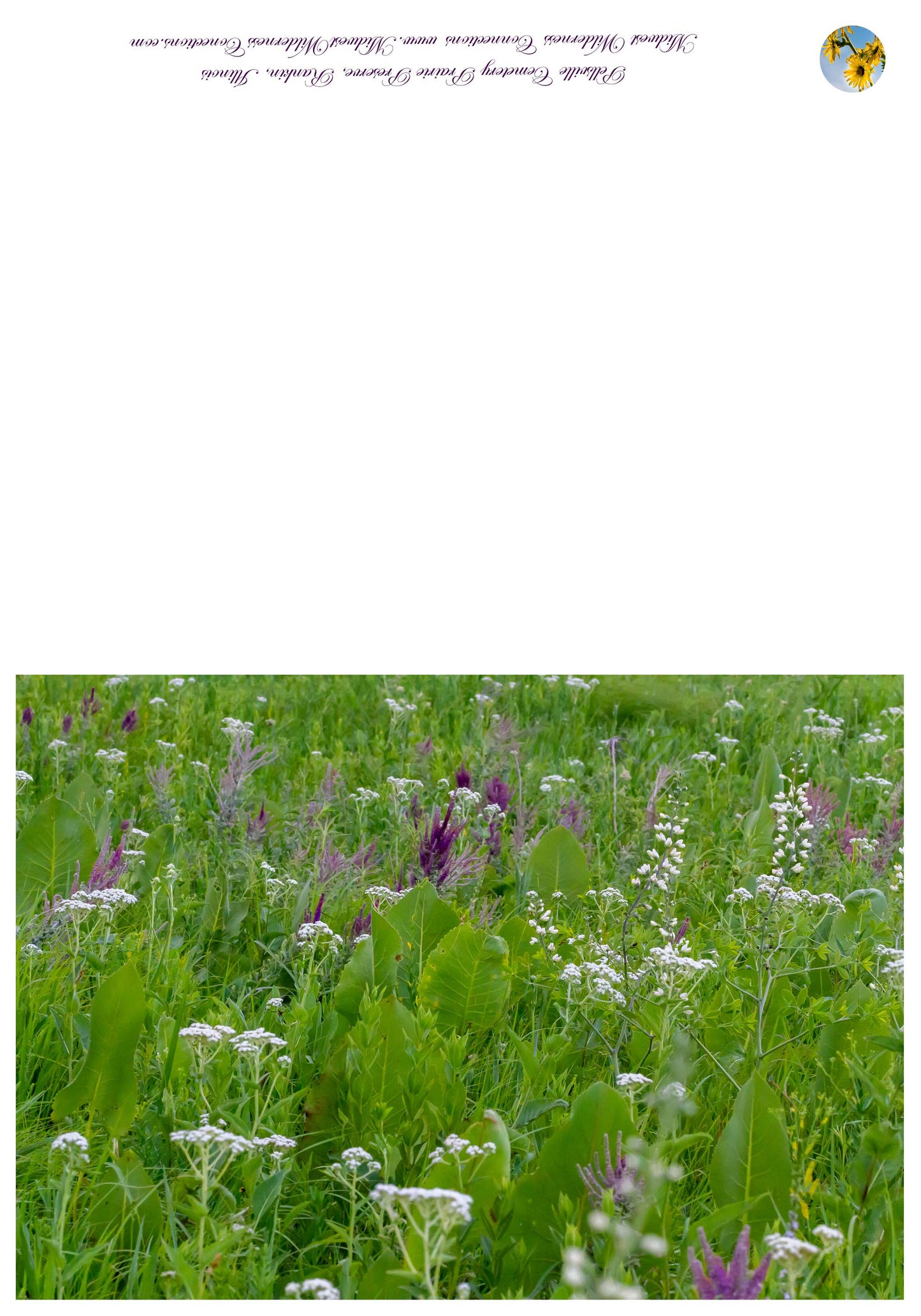 Pellsville Cemetery Prairie NP Greeting Card IMG_1111