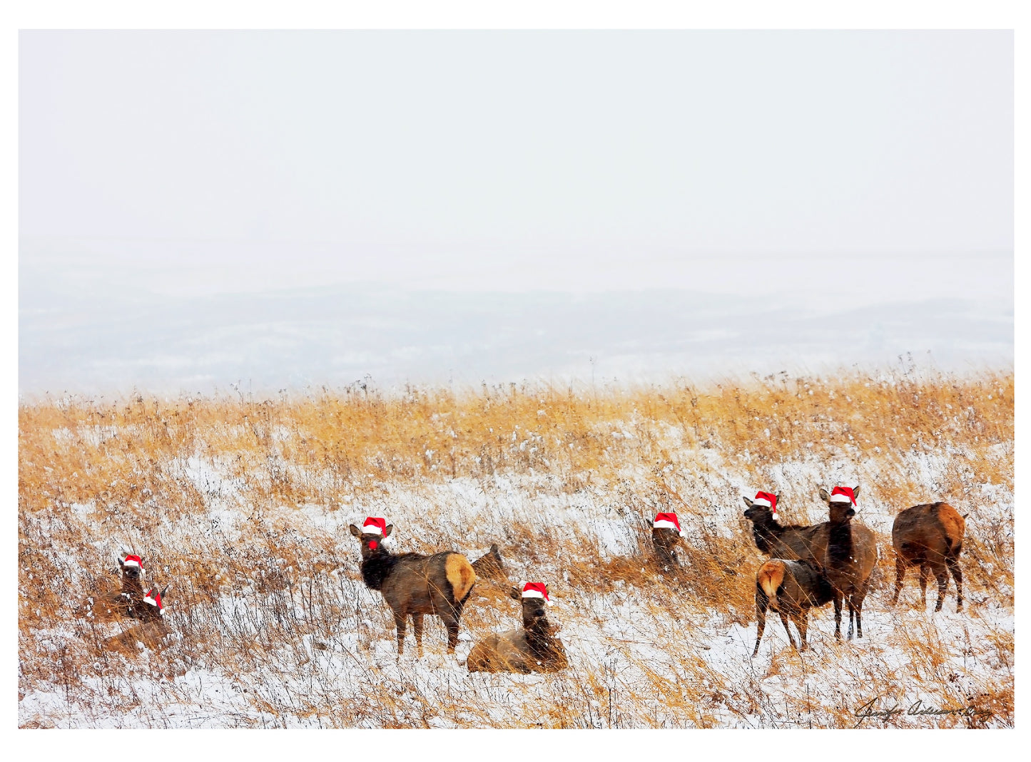 Neal Smith NWR Greeting Card IMG_1438