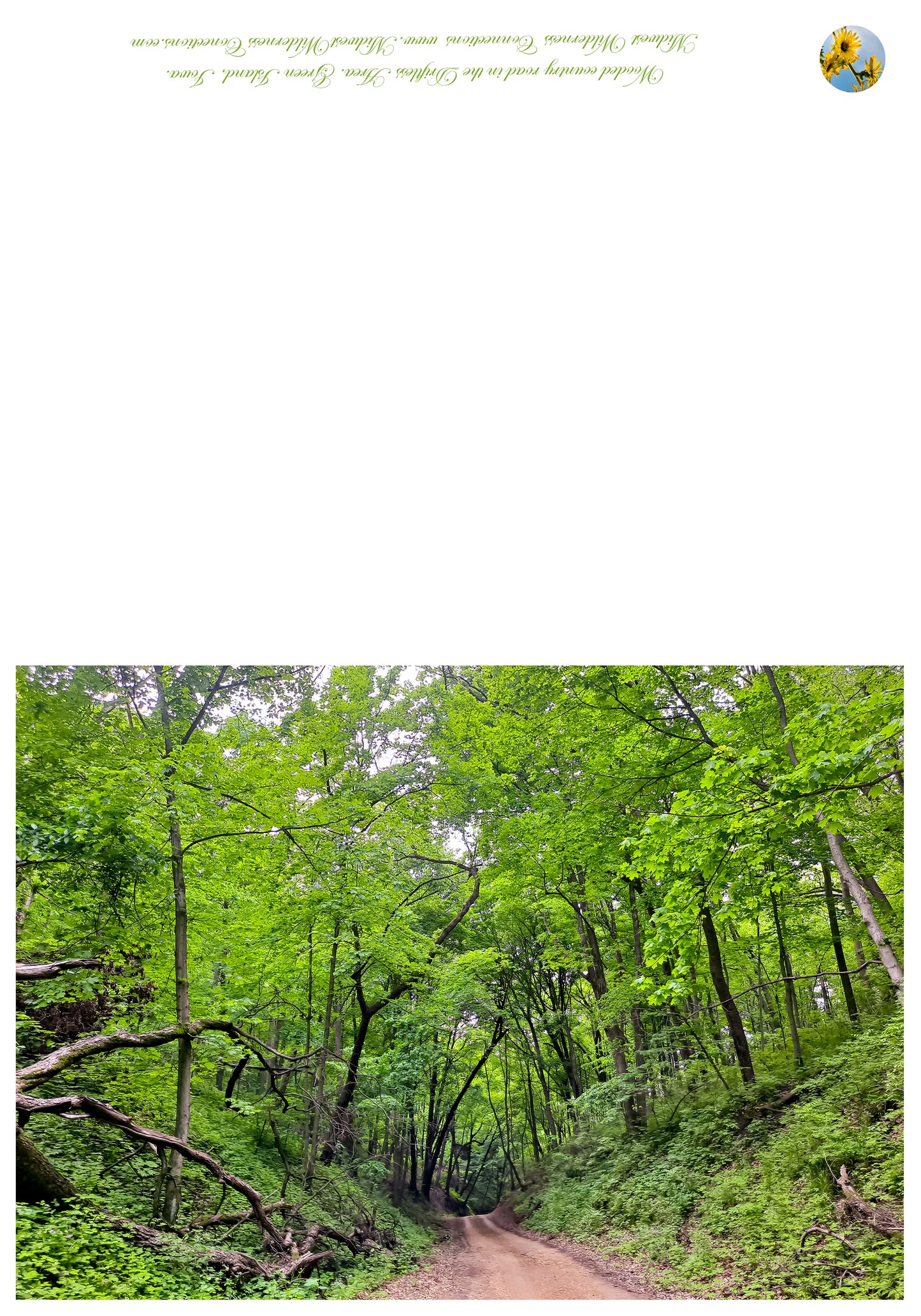 Green Island WMA IMG_173525 Greeting Card