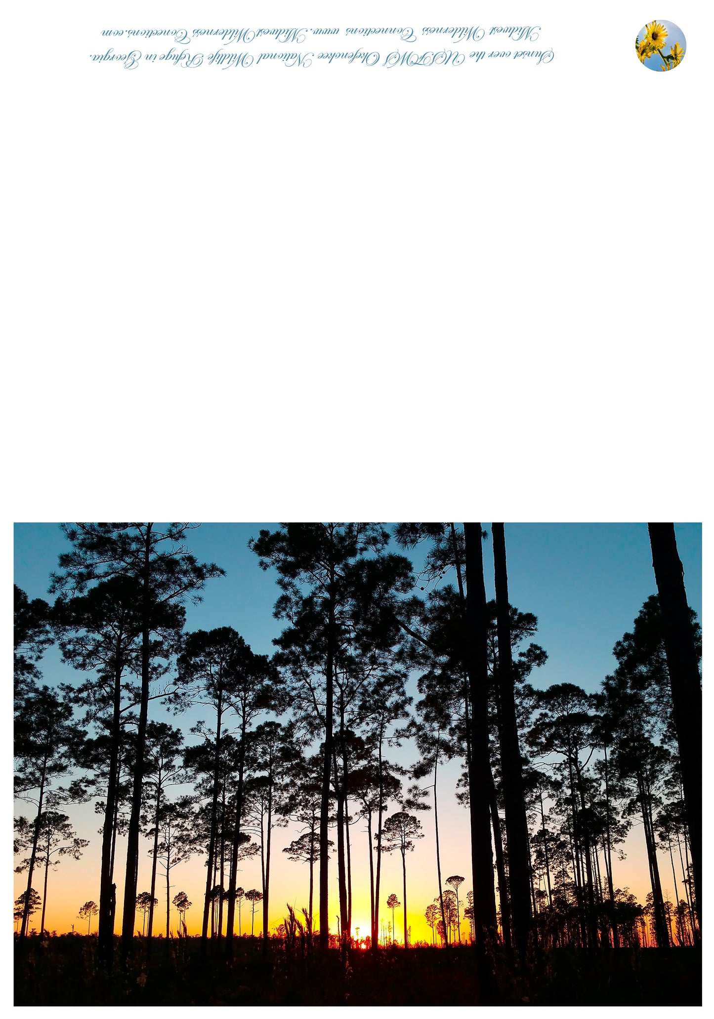 Okefenokee NWR Greeting Card IMG_185541